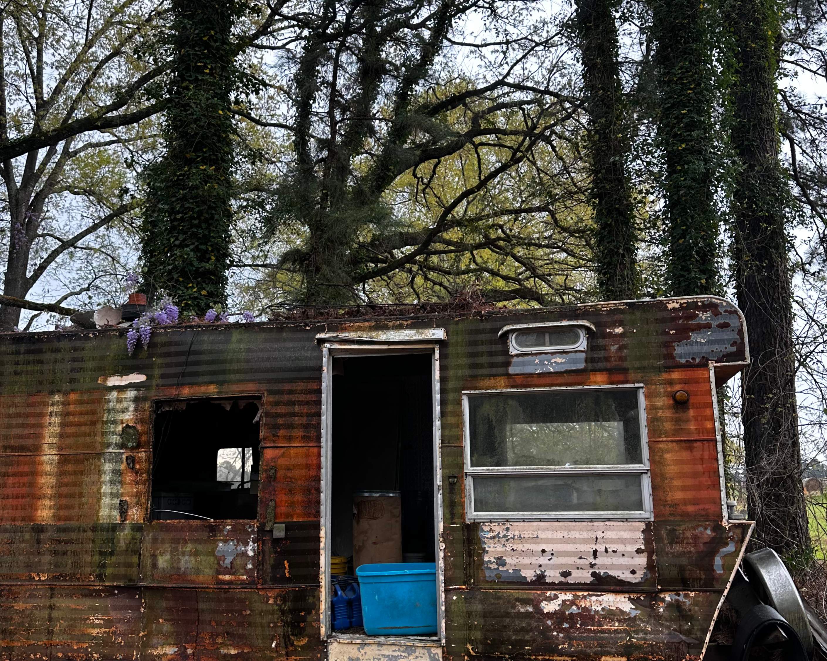 BeeGirl ETX HQ by Rockwall Honey Bee Company