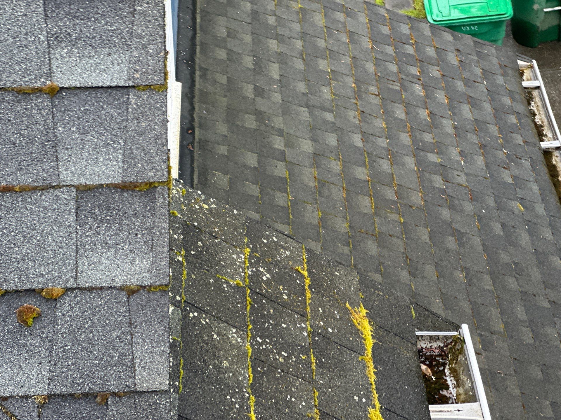 AGS Roof Wash in Mercer Island by WindowWorks