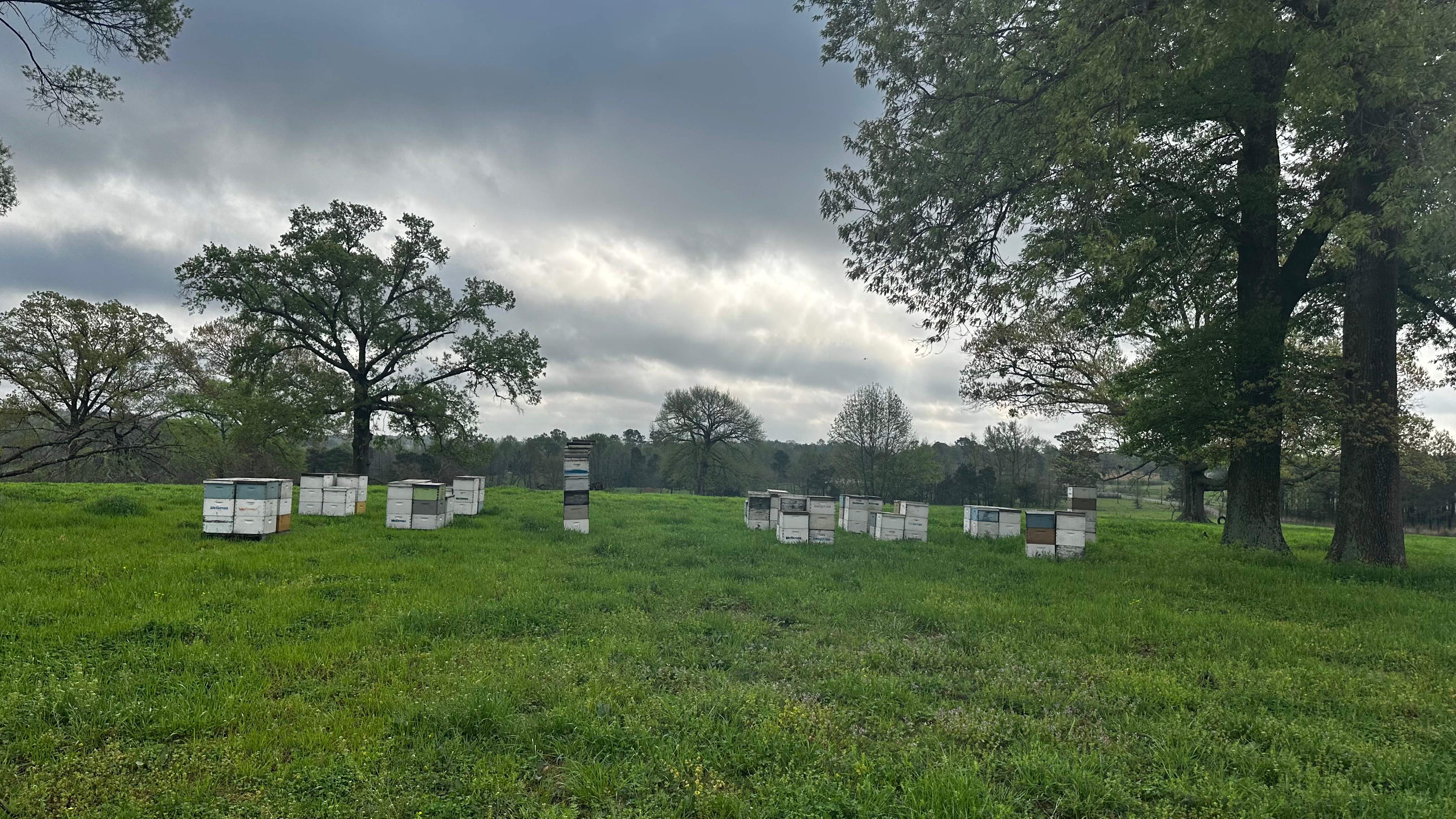 Traylor's Hay Meadow Apiary by Rockwall Honey Bee Company