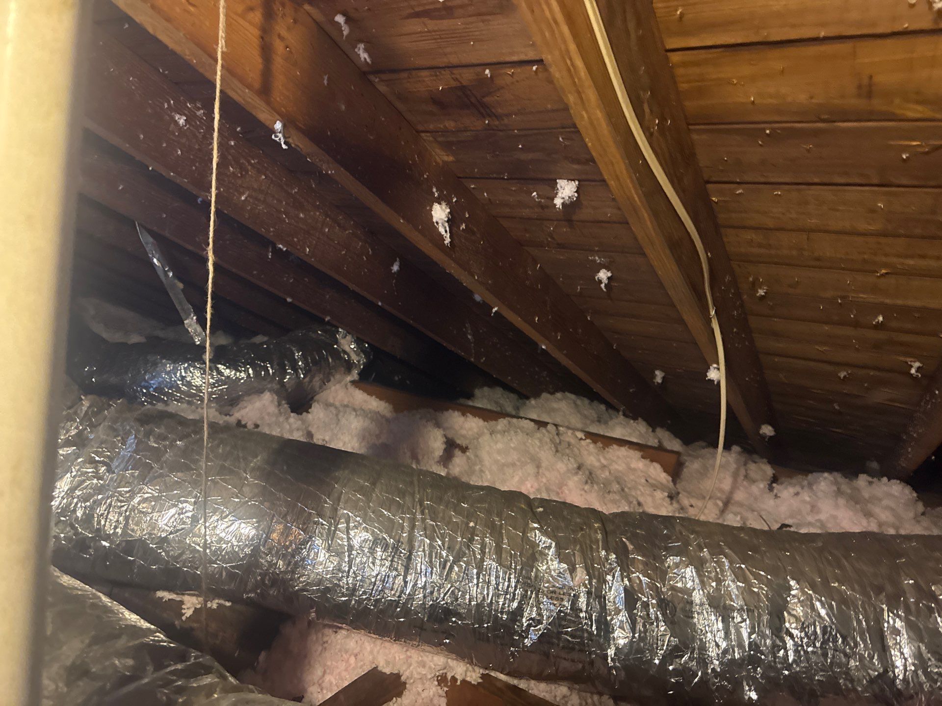 Project in Norfolk by Patriot Crawl Space Repairs