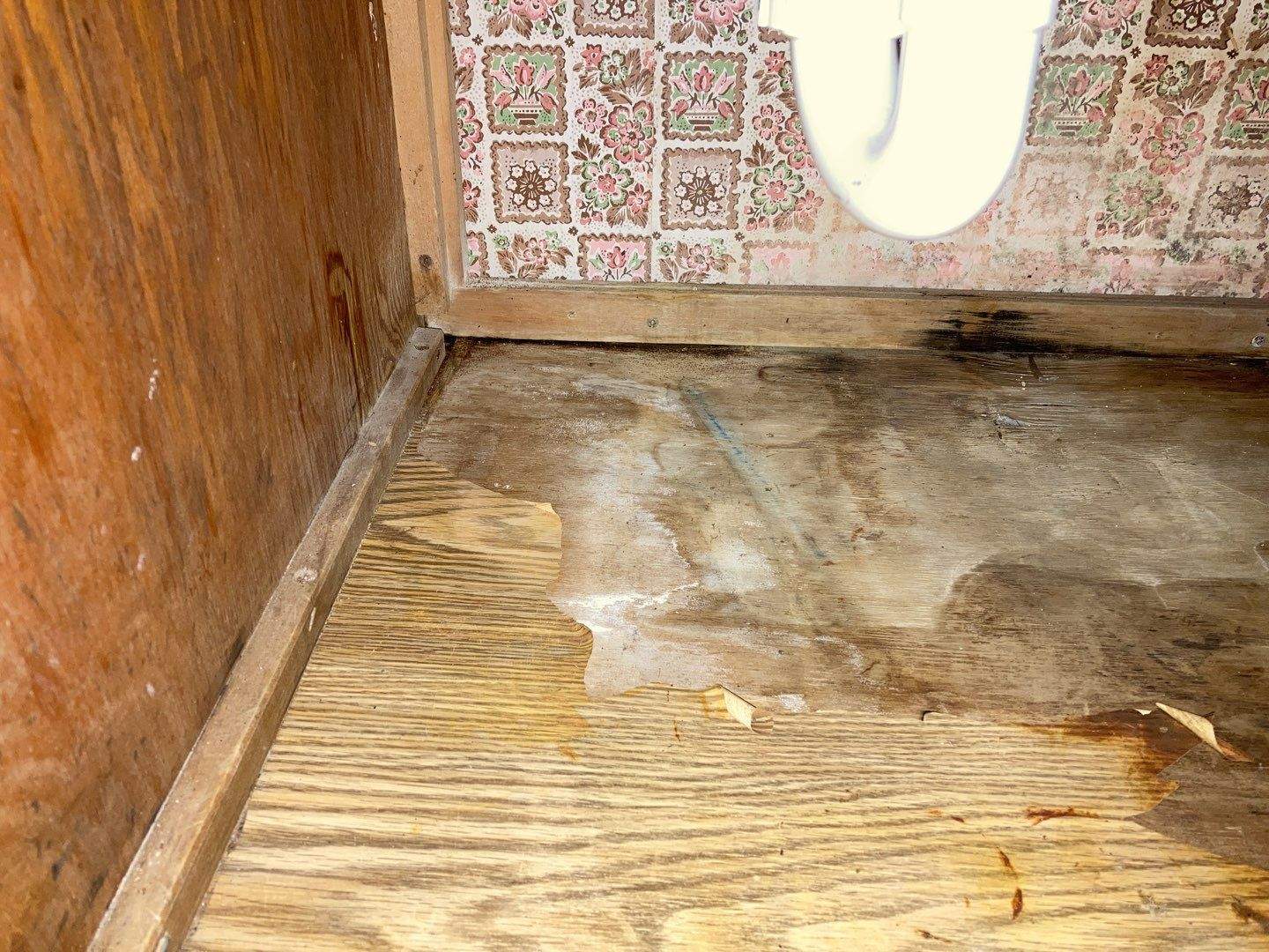 Mold Remediation in Basement by Accountable Home Services