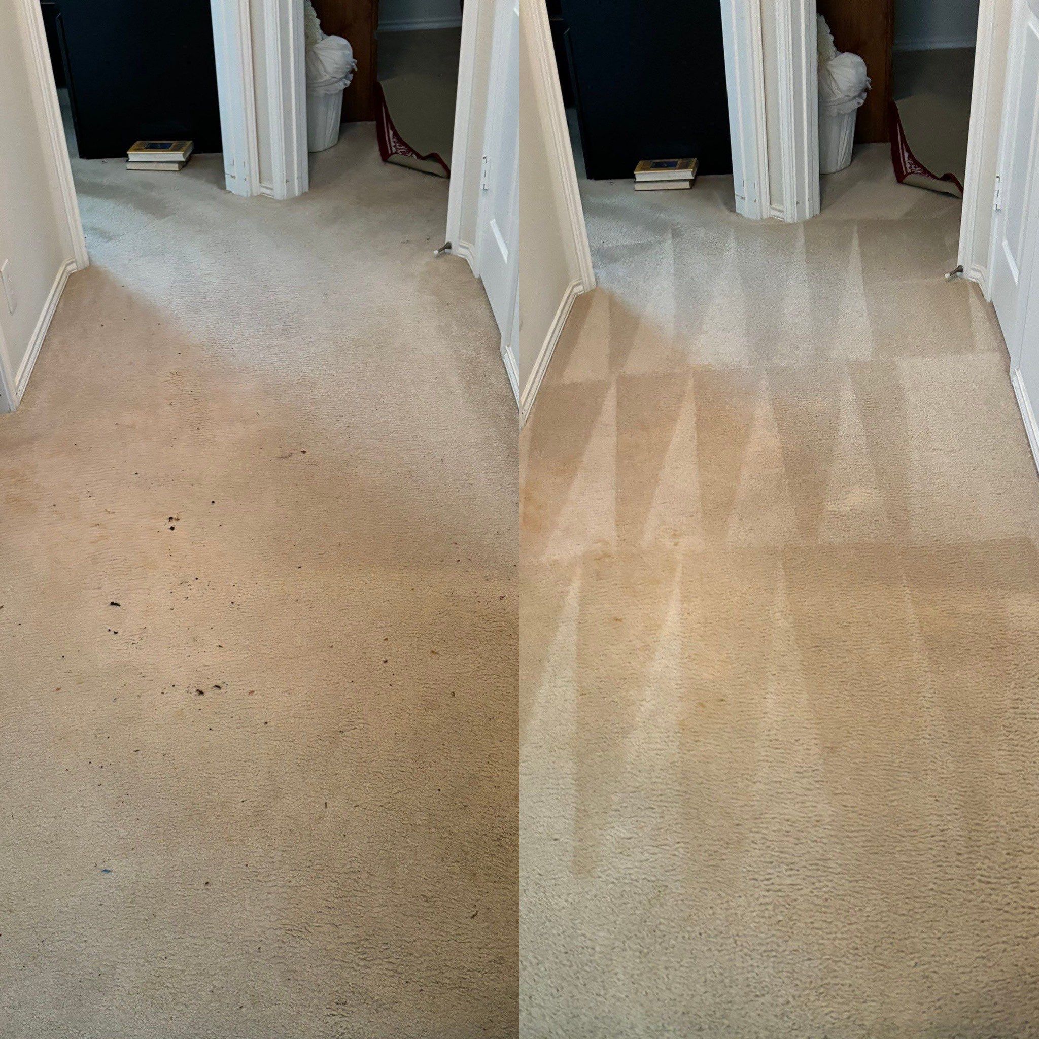 the service is cleaning and restoring carpet by removing stains and dirt for a refreshed look and feel