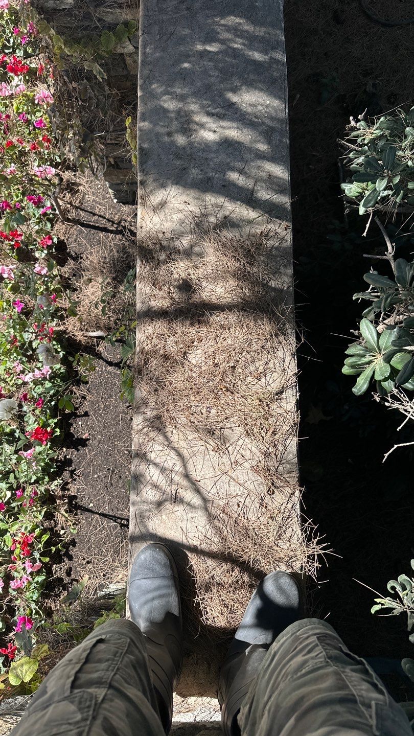 Newport Pressure Washing at HOA Community Entrances by Property Cleaning Experts