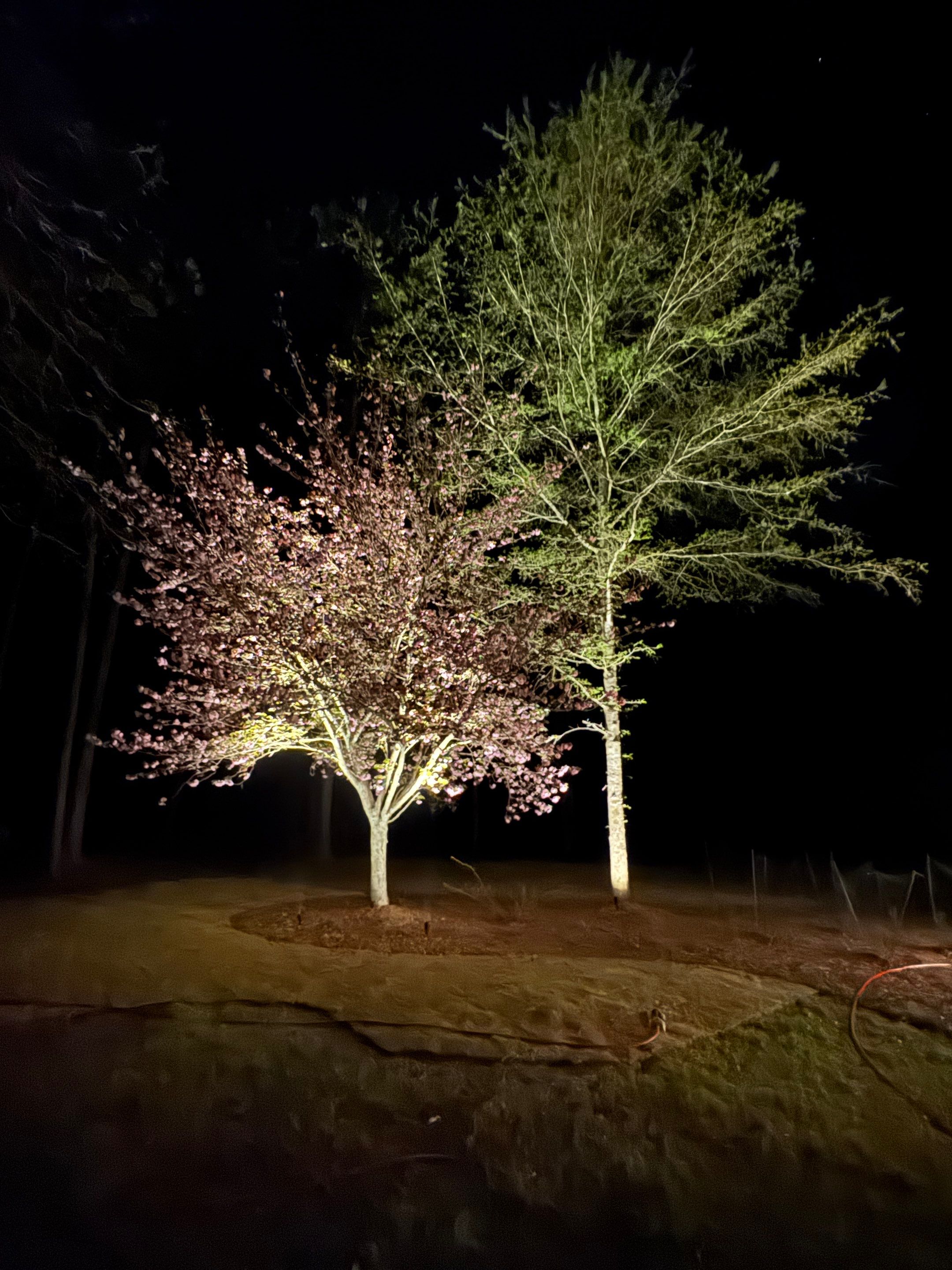 COLD Project by Georgia Outdoor Decor