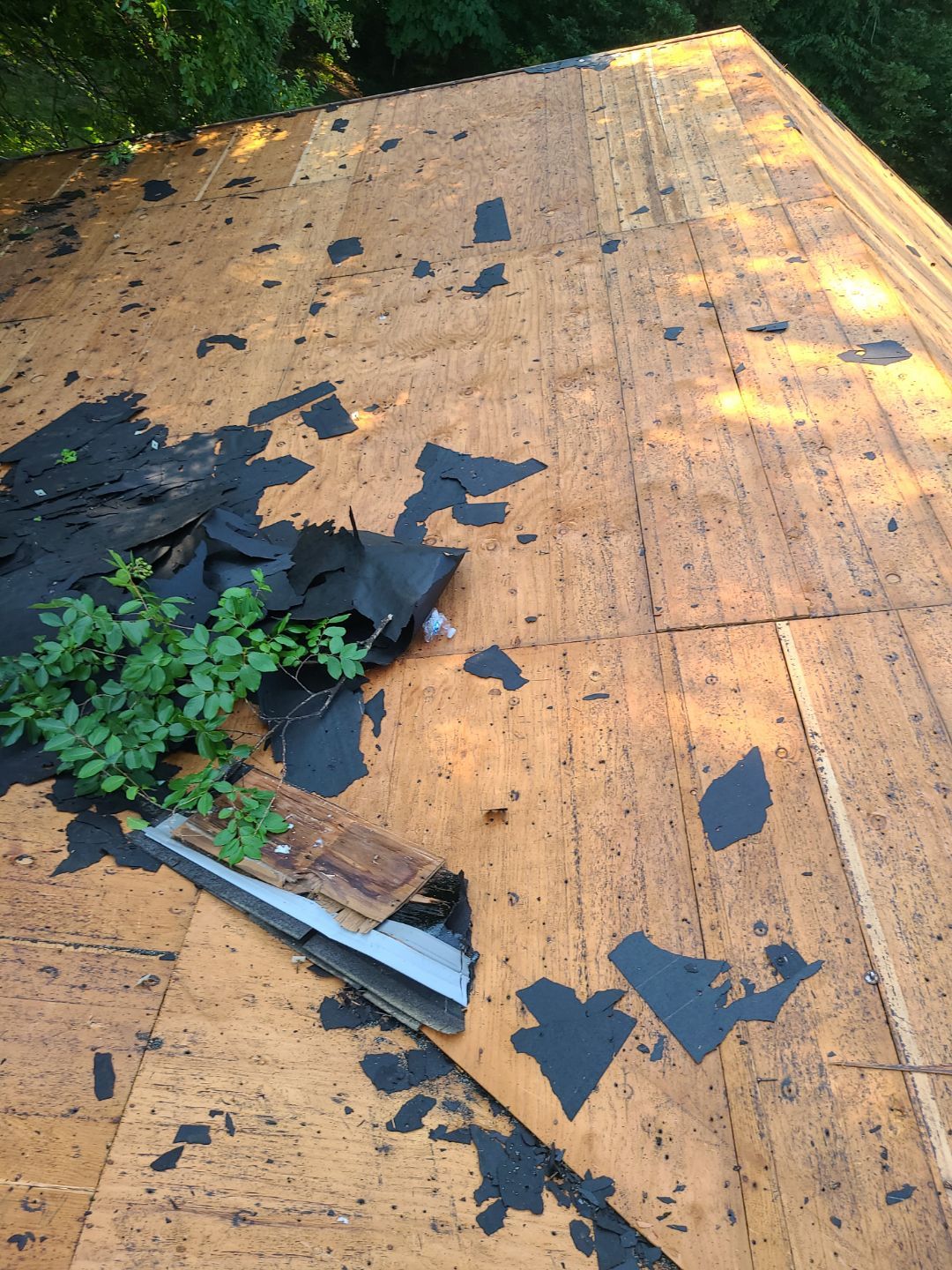 Arlington: Roof Replacement with CertainTeed Landmark Pro in Max Def Georgetown Gray by RM Banning, Inc.