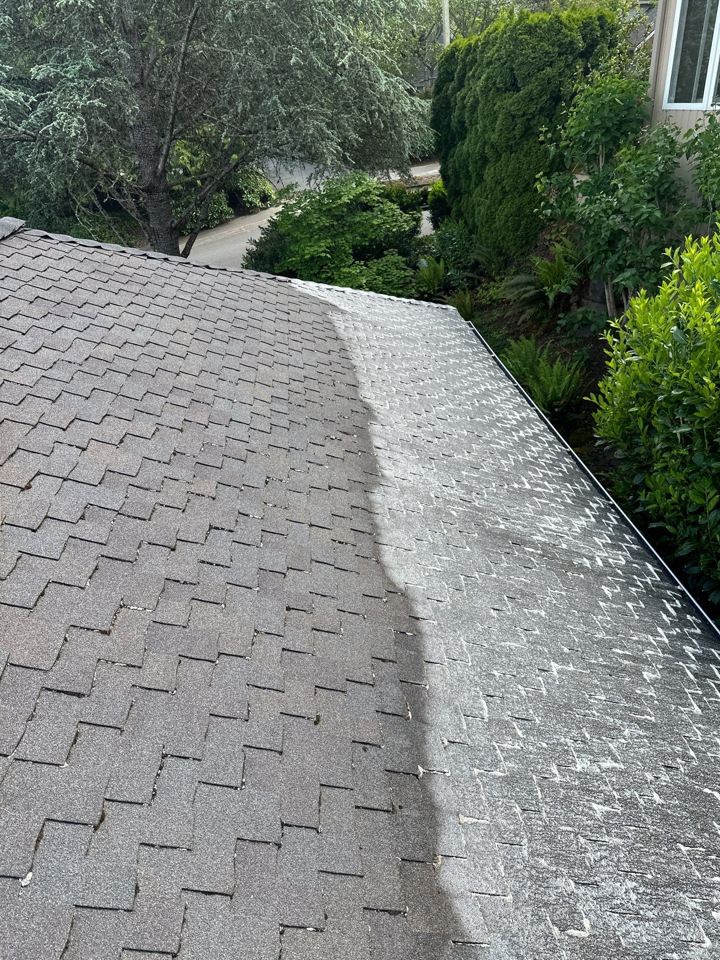 AGS Roof Wash in Sammamish by WindowWorks