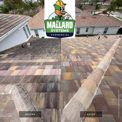 Flat Tile Roof Cleaning