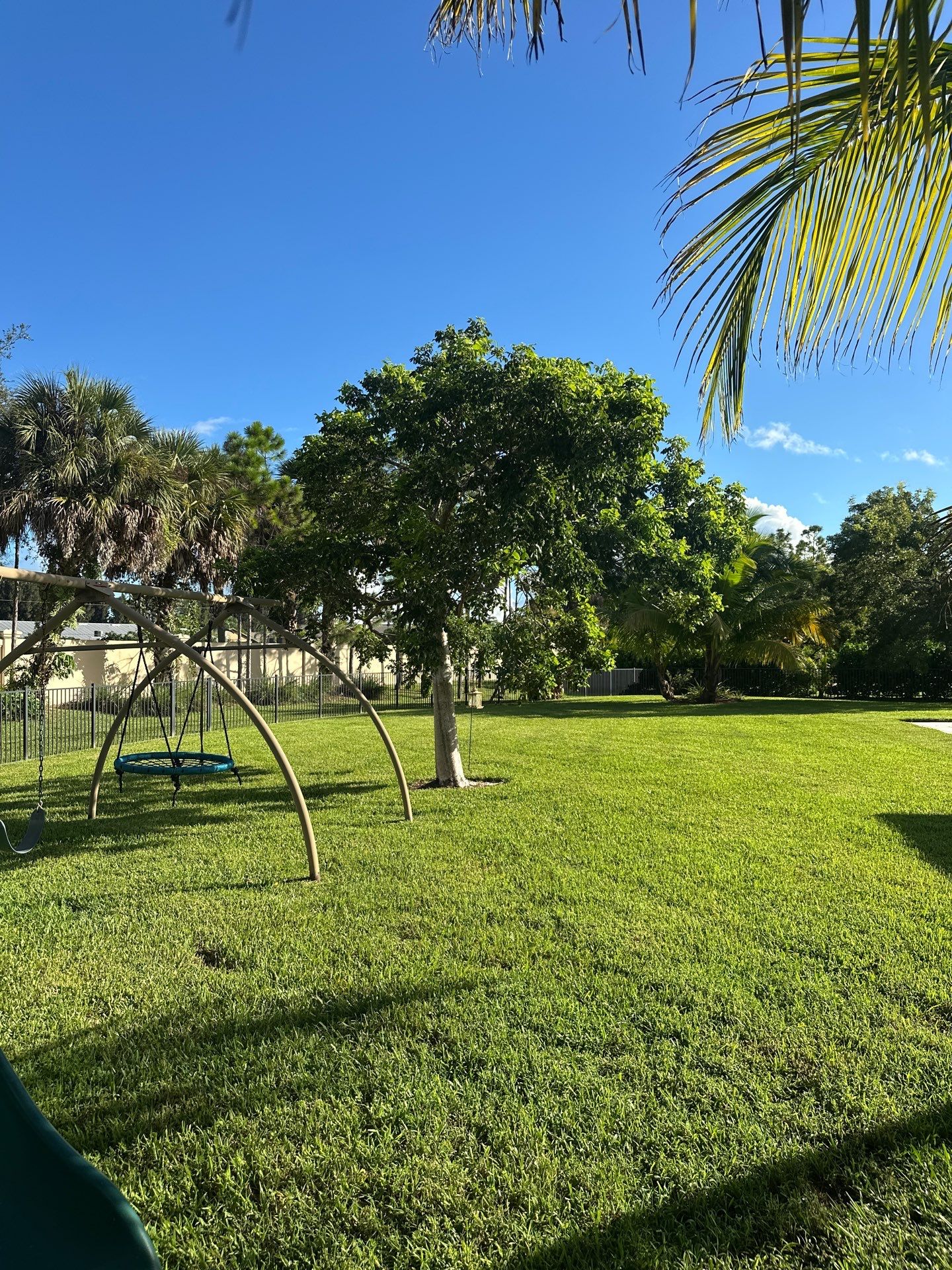 From Overgrown to Picture-Perfect - Stuart Refresh by Alpha Zeta Enterprises Inc