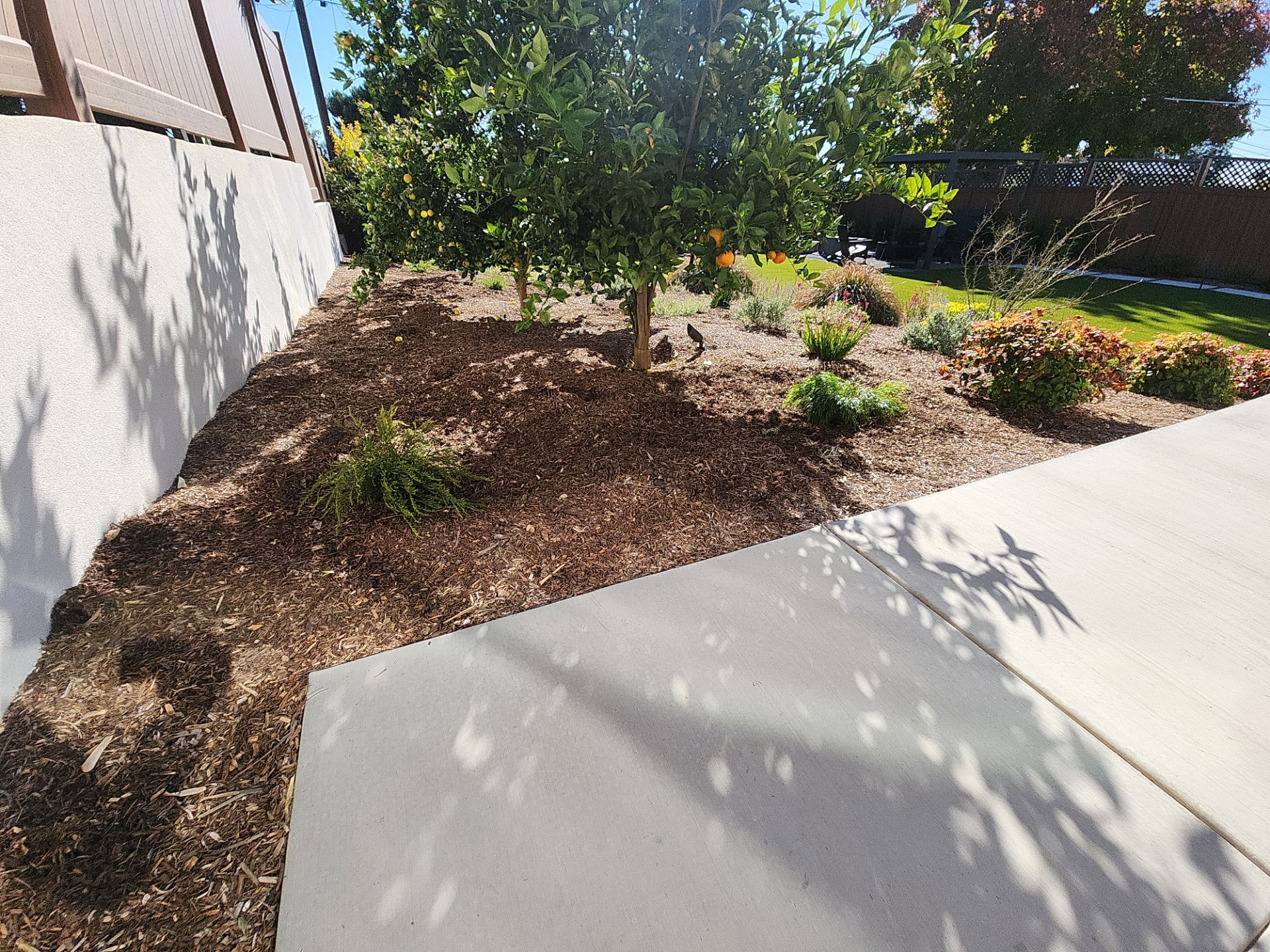 Modern Planting Installation and Low-Maintenance Landscaping in San Diego by Yard Techs
