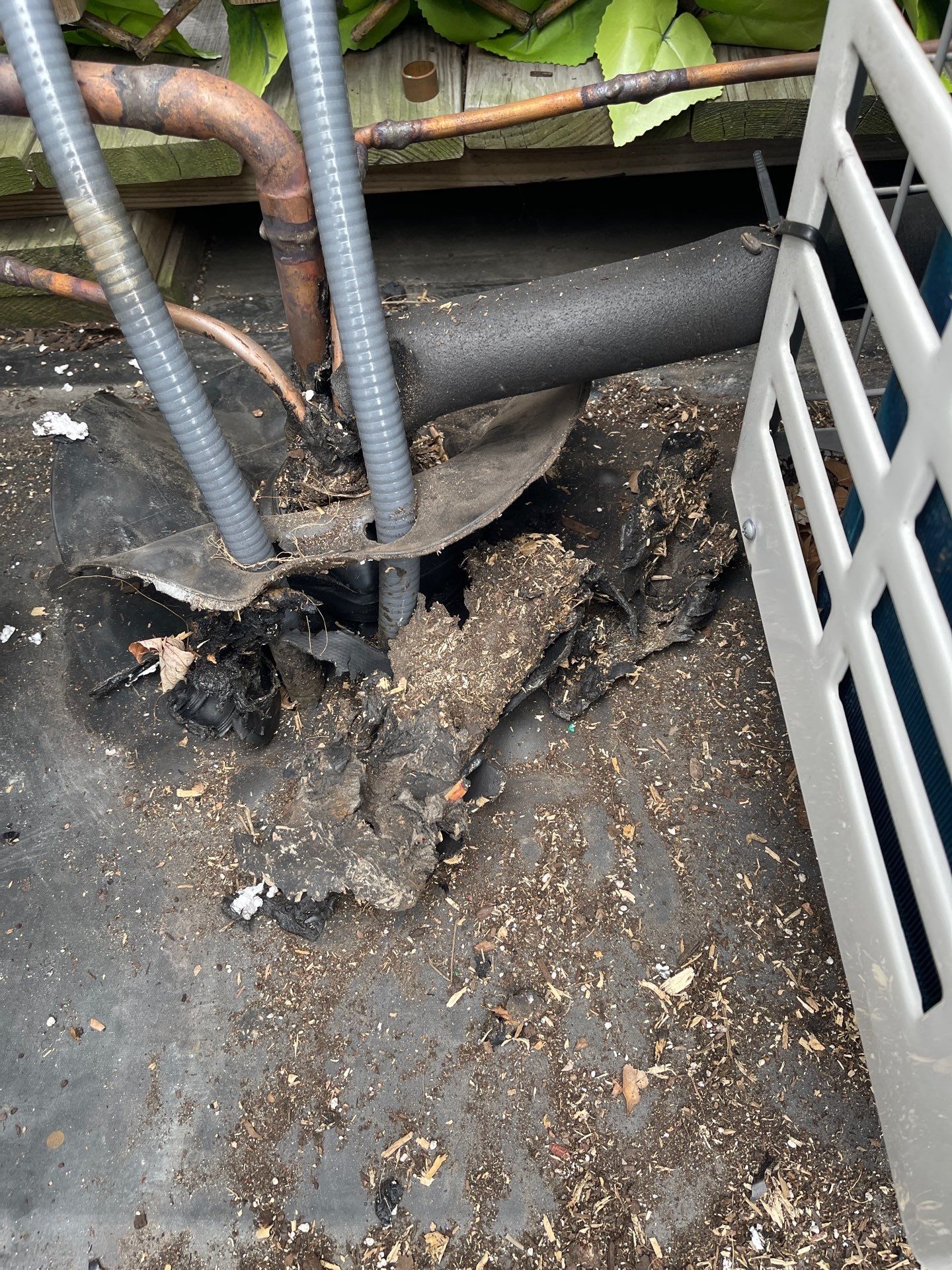 Tyee EPDM Repair  by Tyee Construction Corp