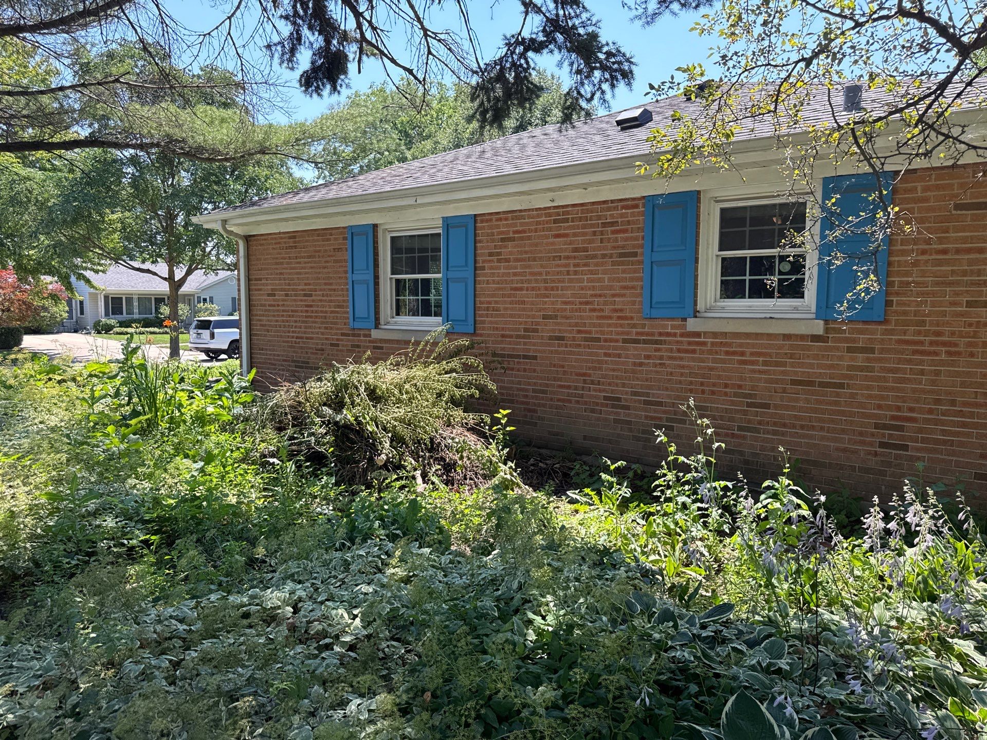 Helen N. - Arlington Heights, IL by A&N 