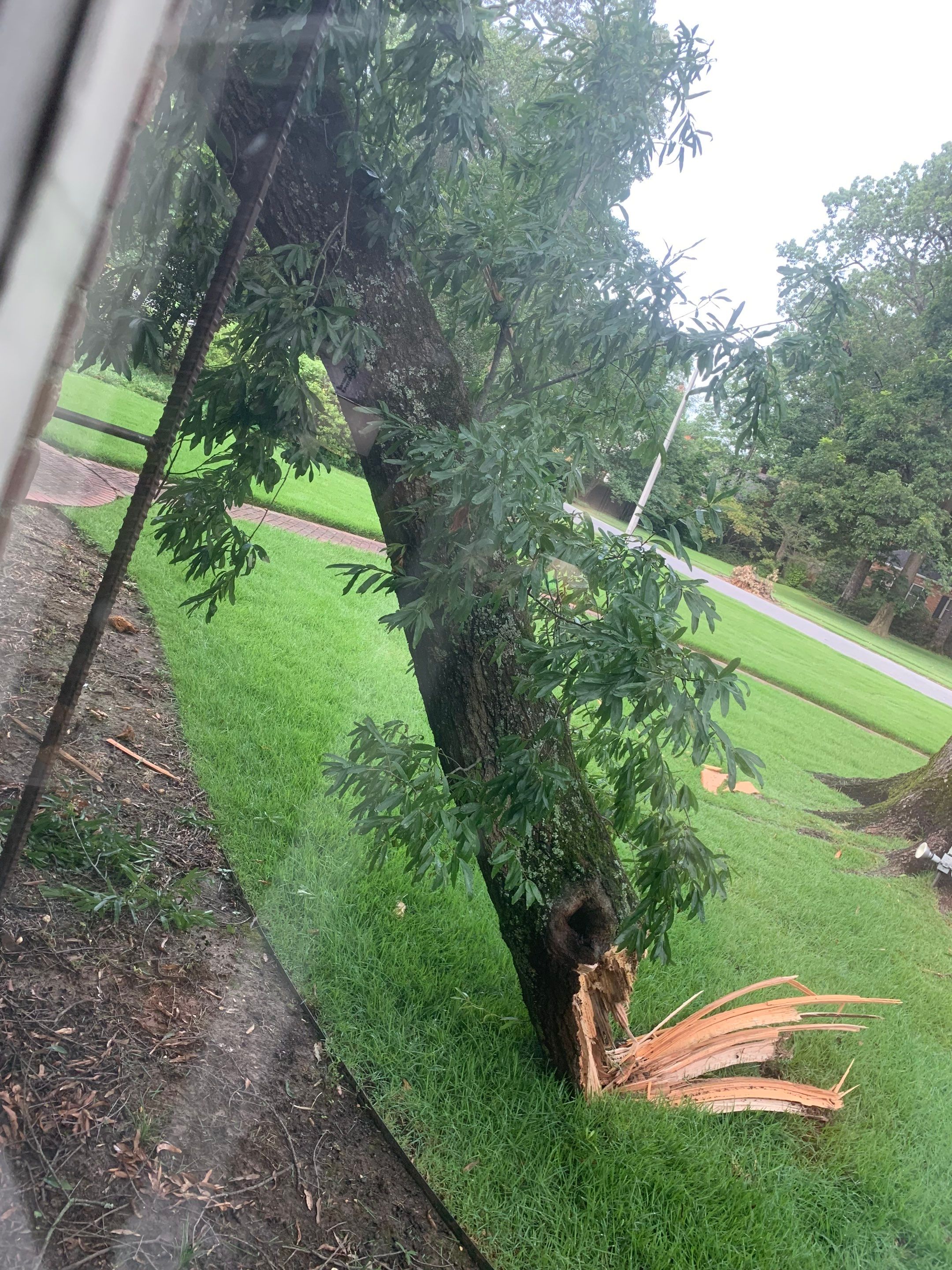 Full Roof Replacement with gutter upgrade after tree impact damage in East Memphis by Revival Roofing Services