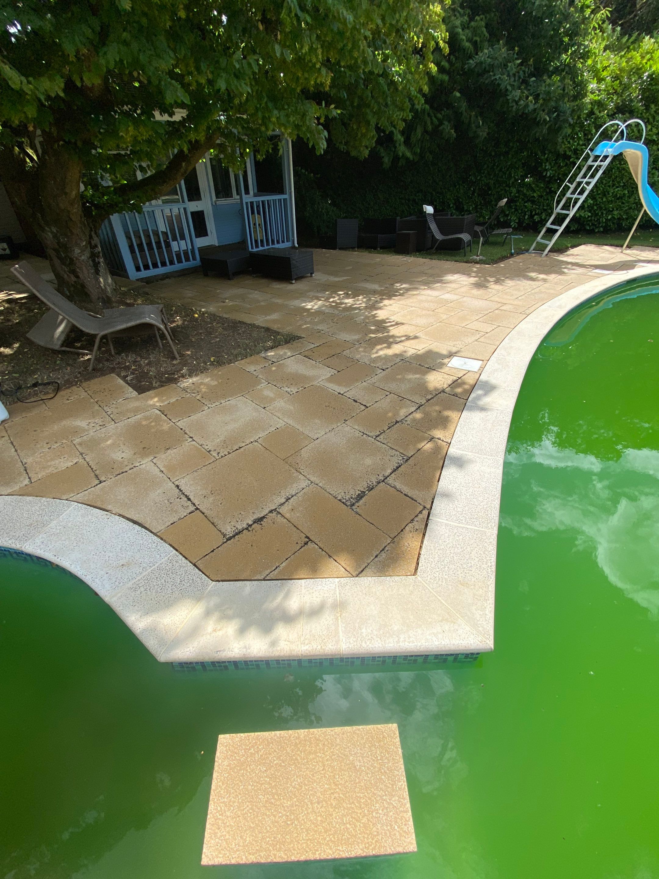 Exterior Clean - Roof - Pool  using Mosmatic FSC and Biocide by Ges Exterior Cleaning ltd