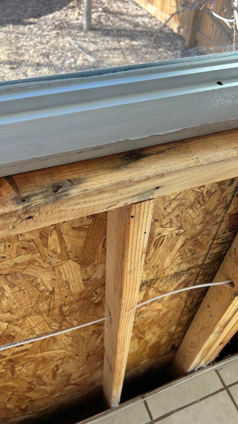 Mold Remediation  by Accountable Home Services