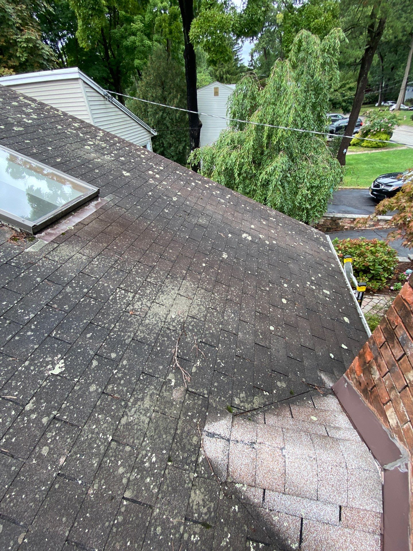 Shakewood Shingles by Reimagine Roofing
