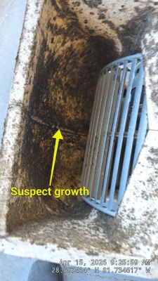 Air Duct Bath Fan Cleaning in Clermont