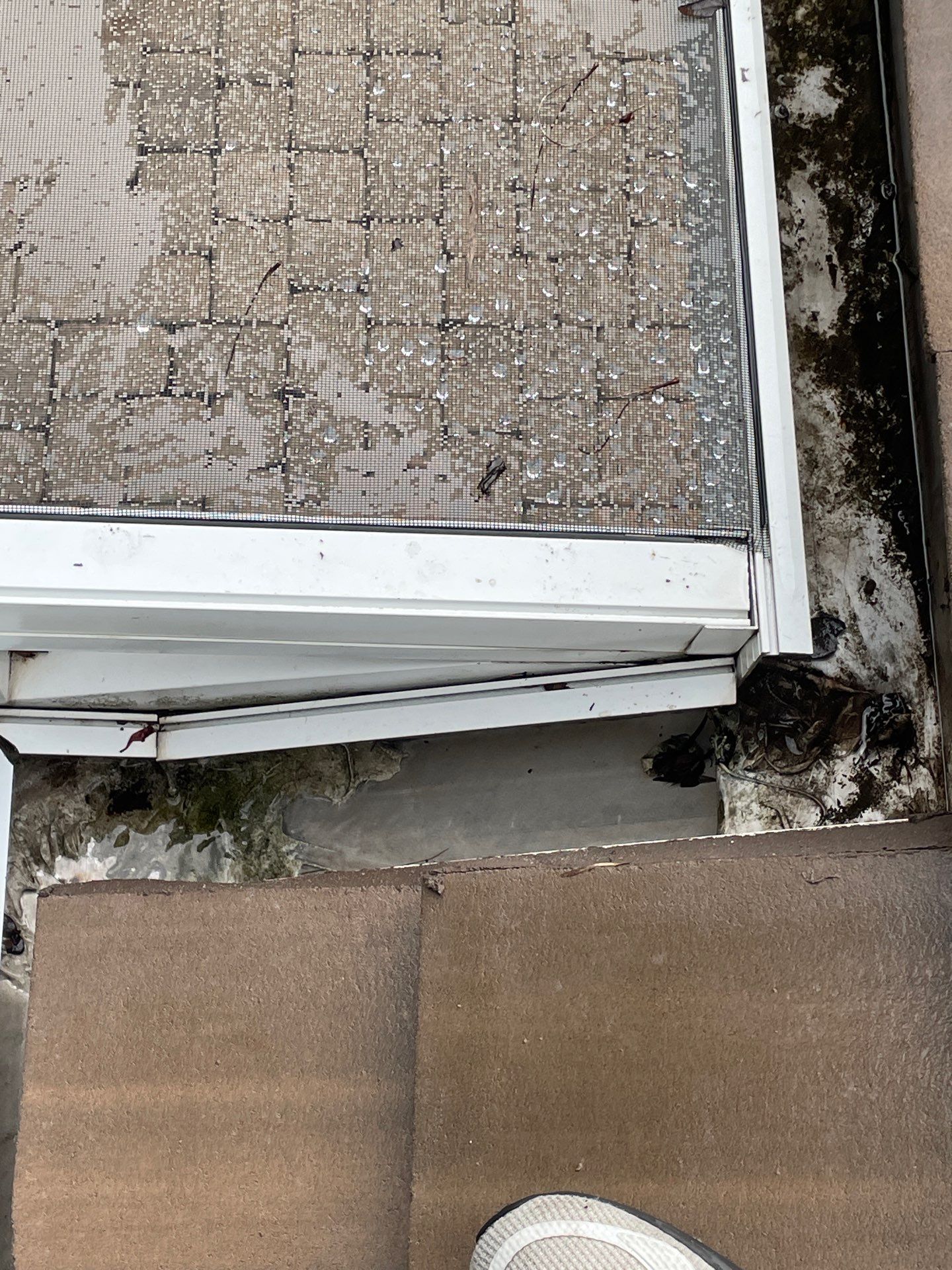 Gutter Cleaning using gutter cleaning in Sarasota FL by Gutter Professors