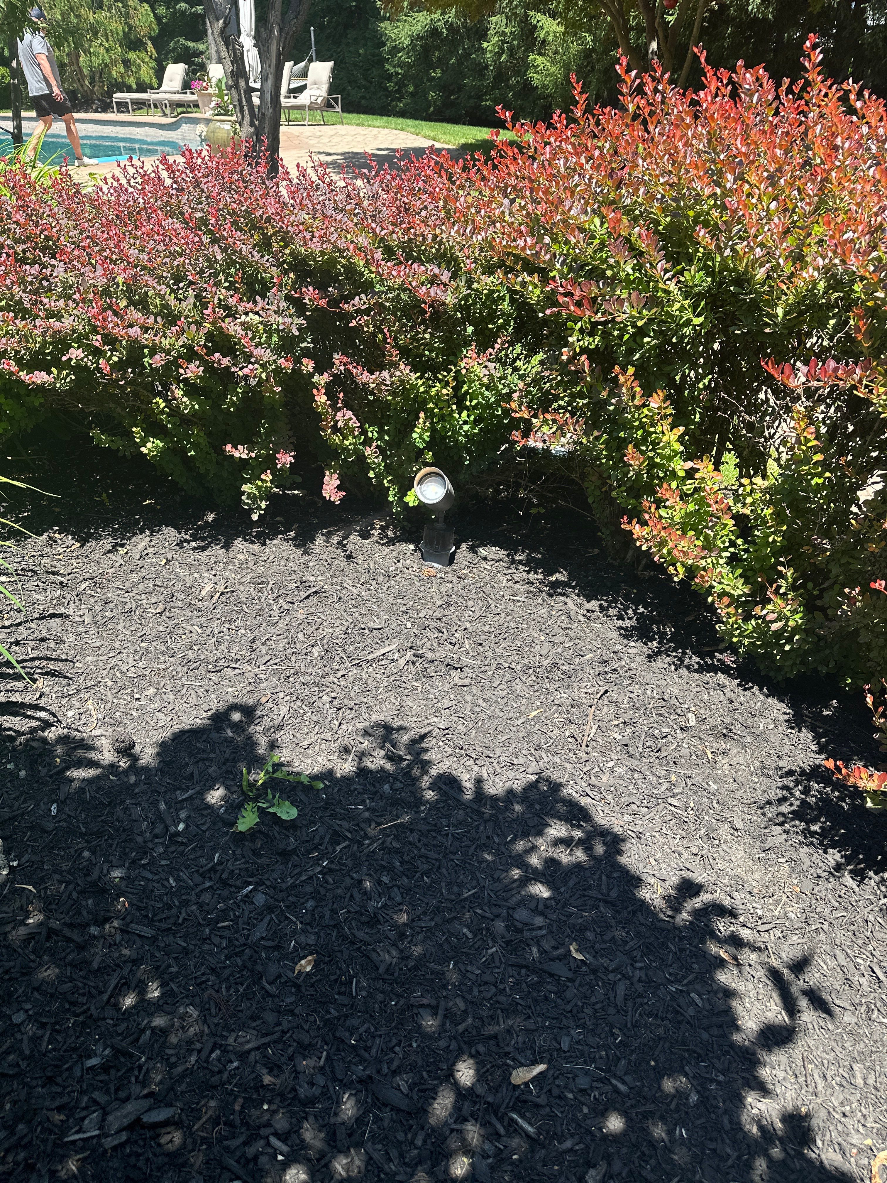 Landscape Lighting by Spartan Home Pros
