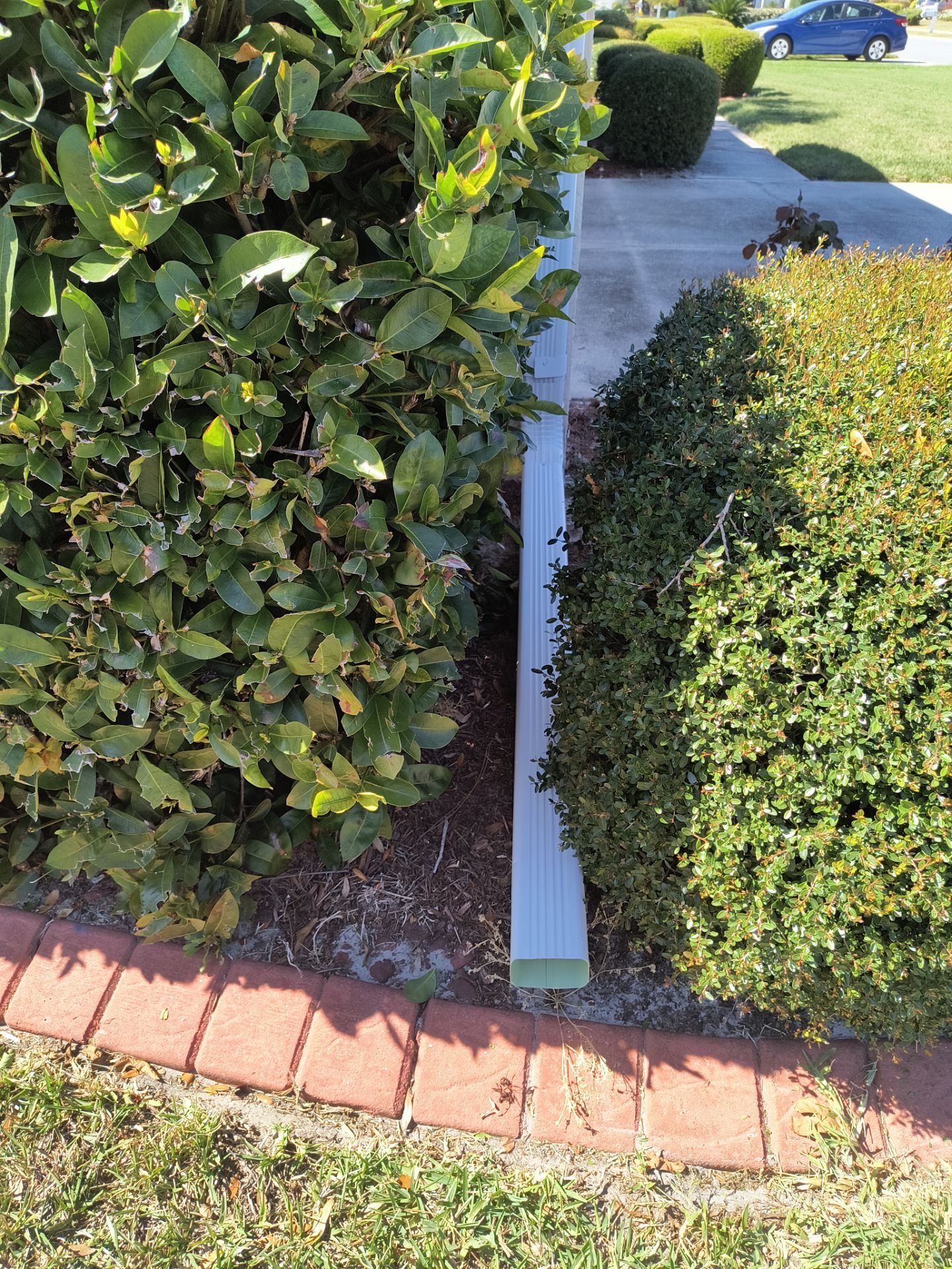 White Seamless Gutters using 6 Inch Seamless Gutters in Sarasota FL by Gutter Professors