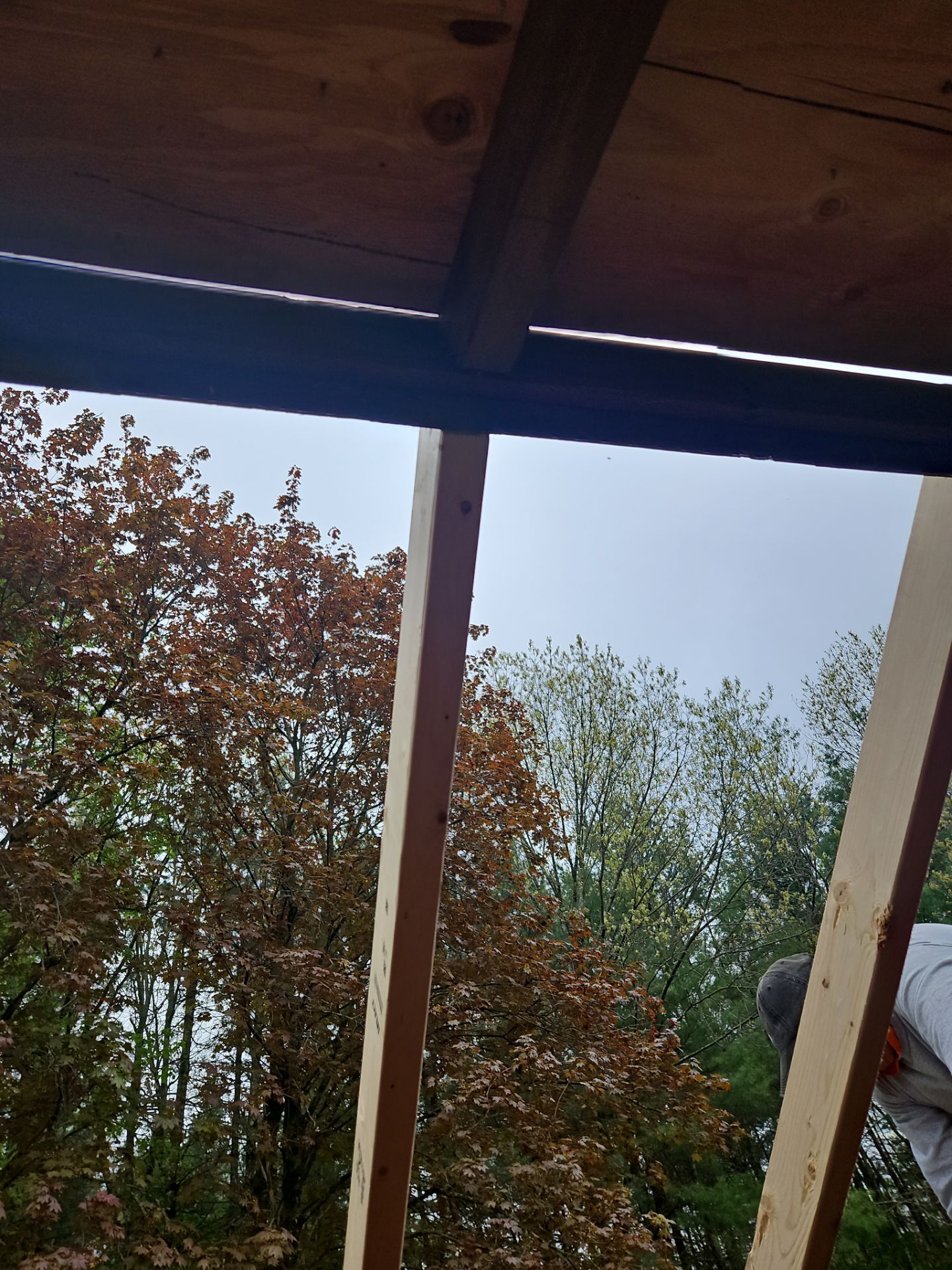 Siding, Roofing & Windows | Wilmington by Mighty Dog Roofing of Greater Middlesex County