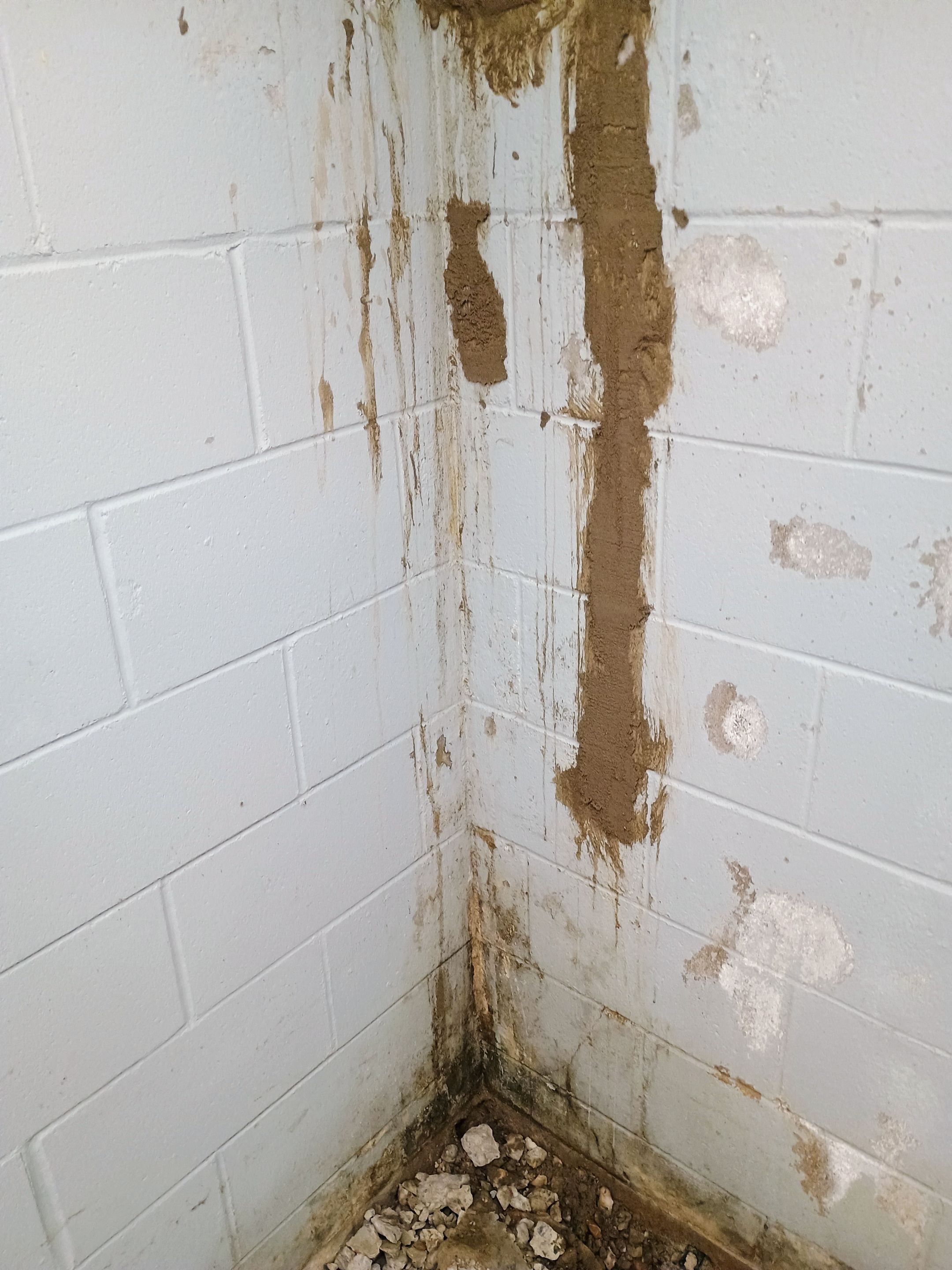 Depressurizing Denny's Basement Wall by Waterproofing Northeast