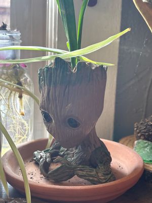 Project by CompanyCam | Account Management Demo Account