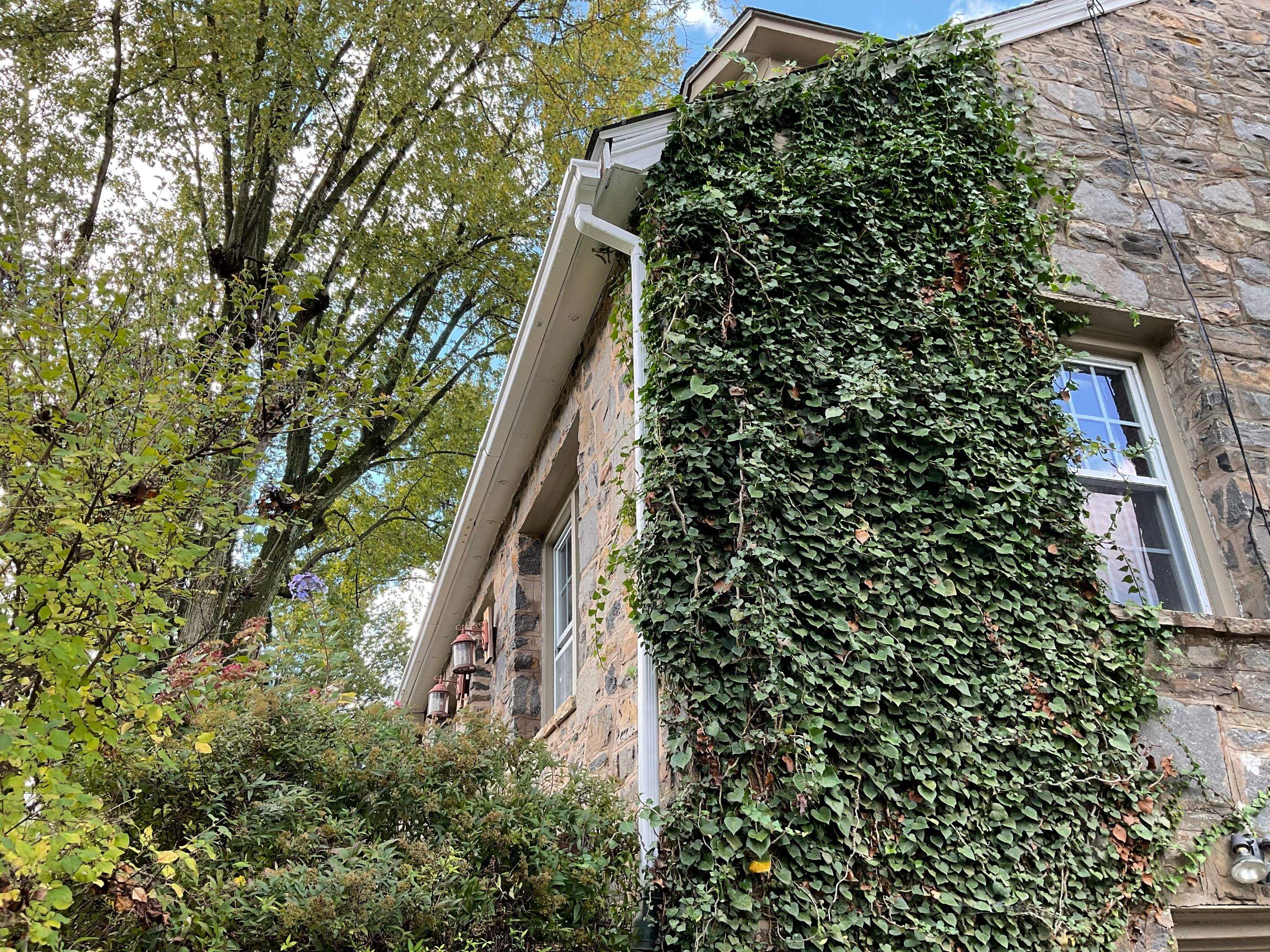 Gutter Installation using 6" Gutters & 3/4 " Downspouts by Alpha Design Services