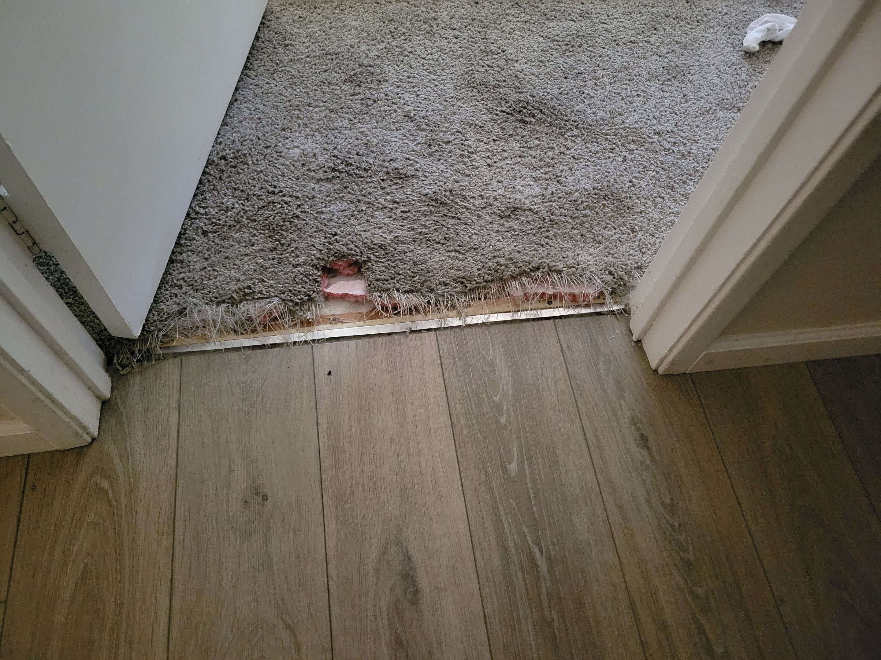 Repairing Carpet Damaged by a Dog by Ardent Carpet Restore LLC