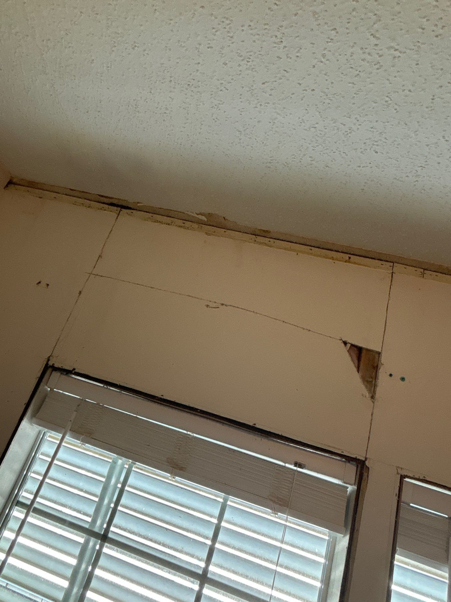 Mold Remediation Palmetto by Ampm Restoration Services 