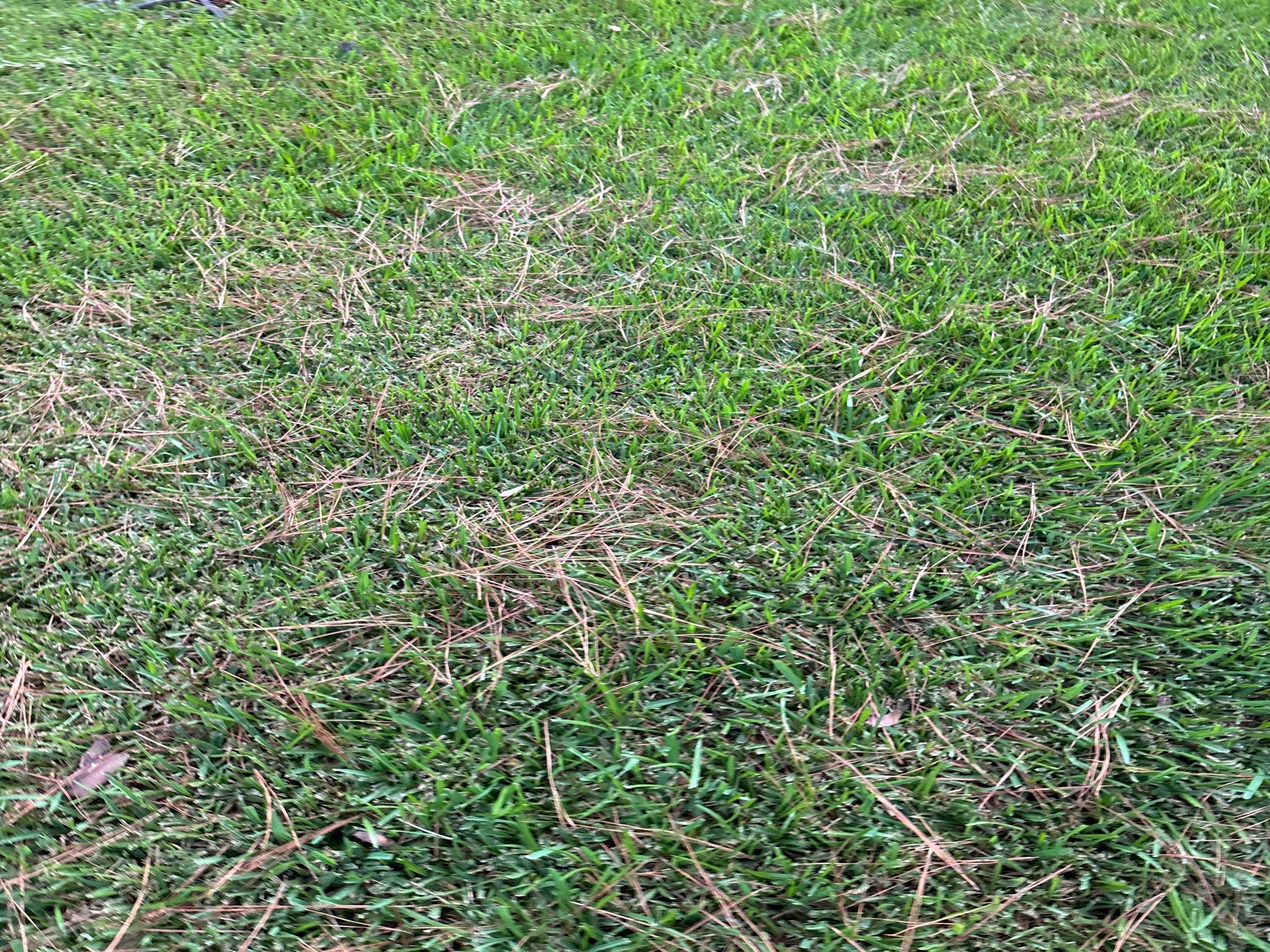 Roof Replacement Missouri City by Roof Repair Company