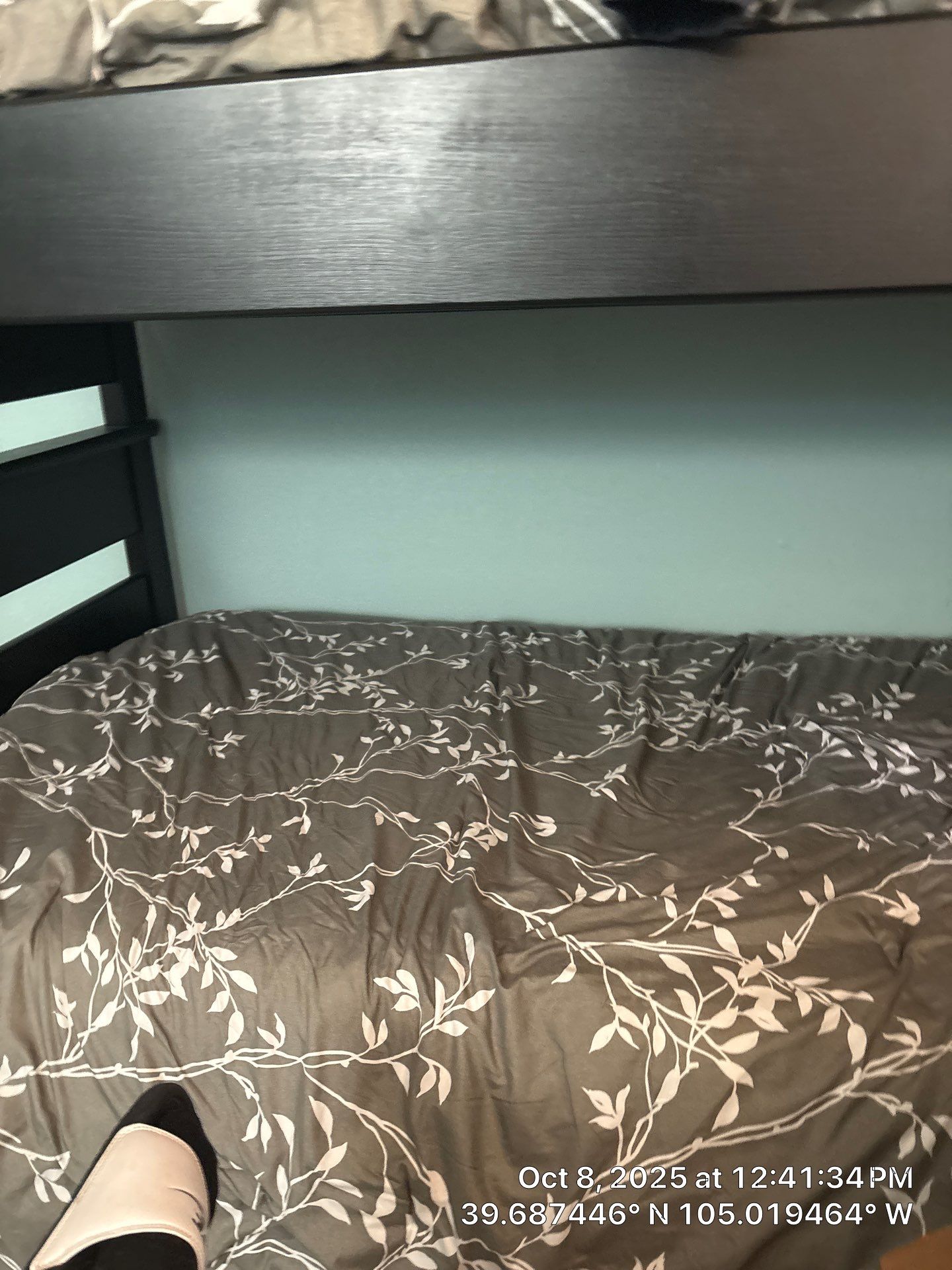 Joness Backyard by CompanyCam Sales Demo