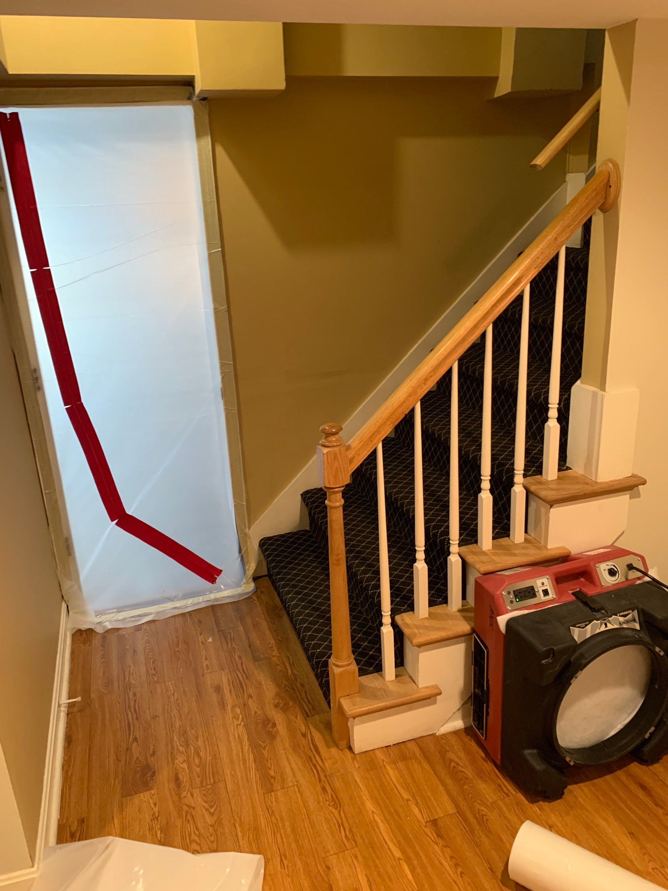 Mold Removal in Louisville, KY by ANR Restoration