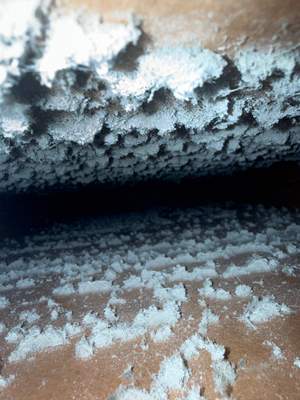 Mold Remediation In Sarasota 
