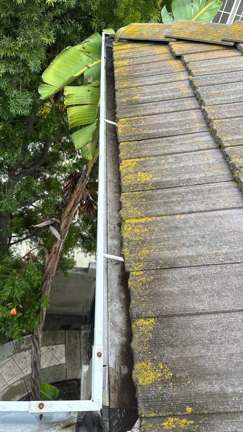 Irvine Gutter Cleaning by Property Cleaning Experts