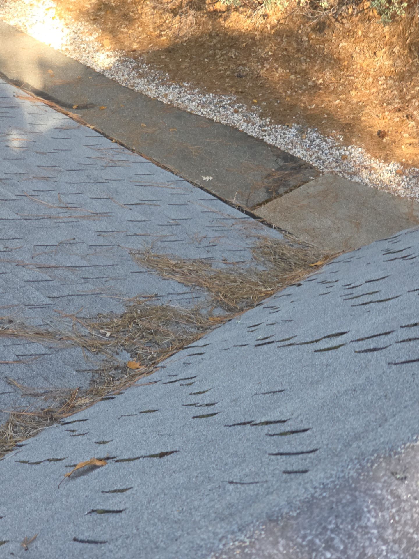 Roof Rejuvenation using Roof Maxx Treatment by Roof Maxx of Folsom