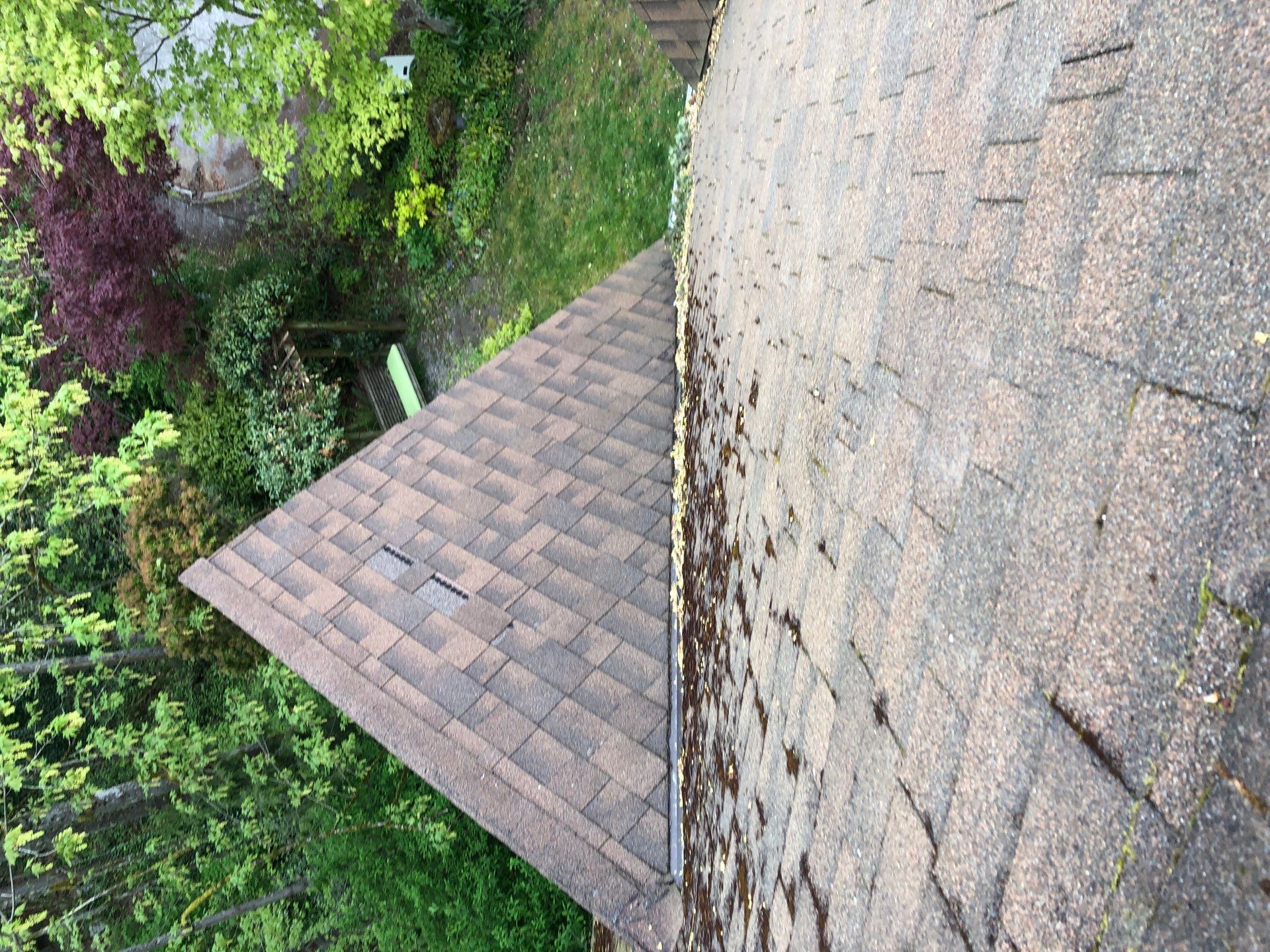 Project in Seattle by Peaks and Valleys Construction