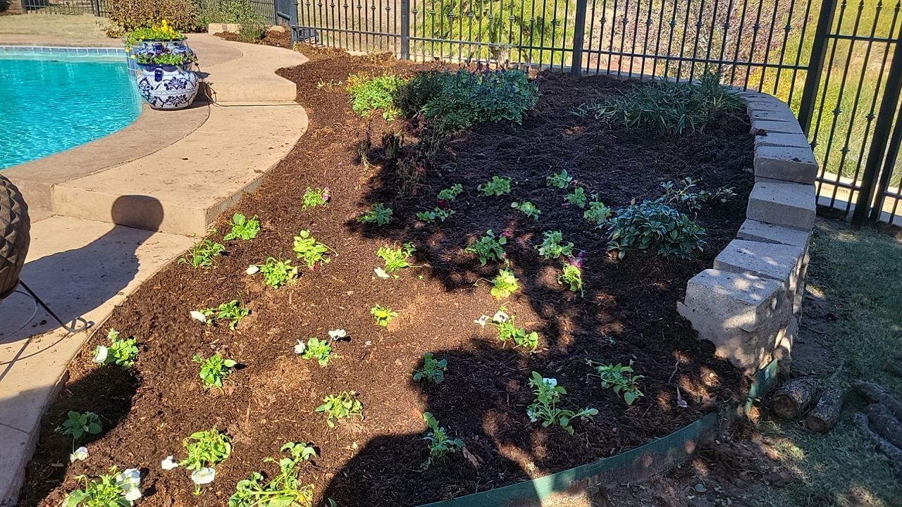 Landscape  by Clays Services Inc