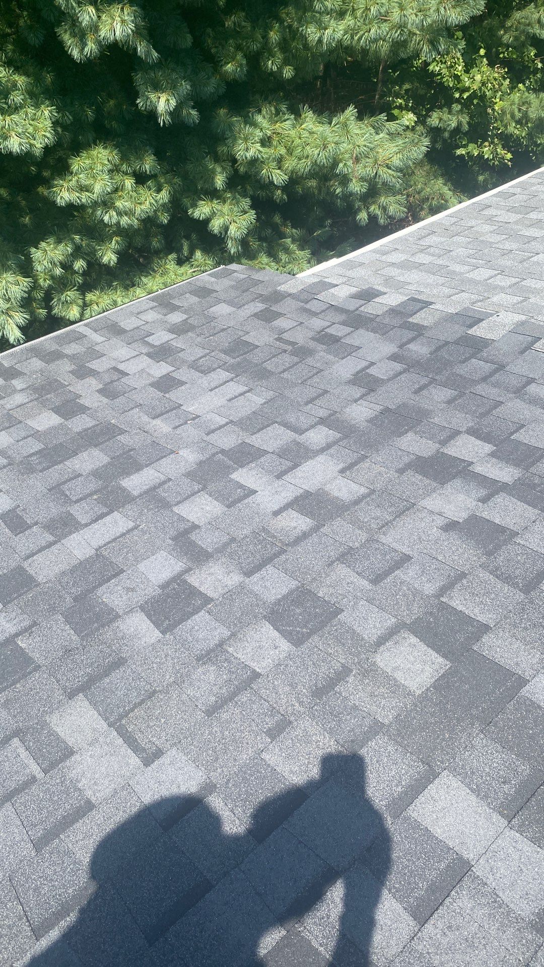 Fairfax: Residential Roof Installation with CertainTeed Landmark PRO in Max Def Moire Black by RM Banning, Inc.