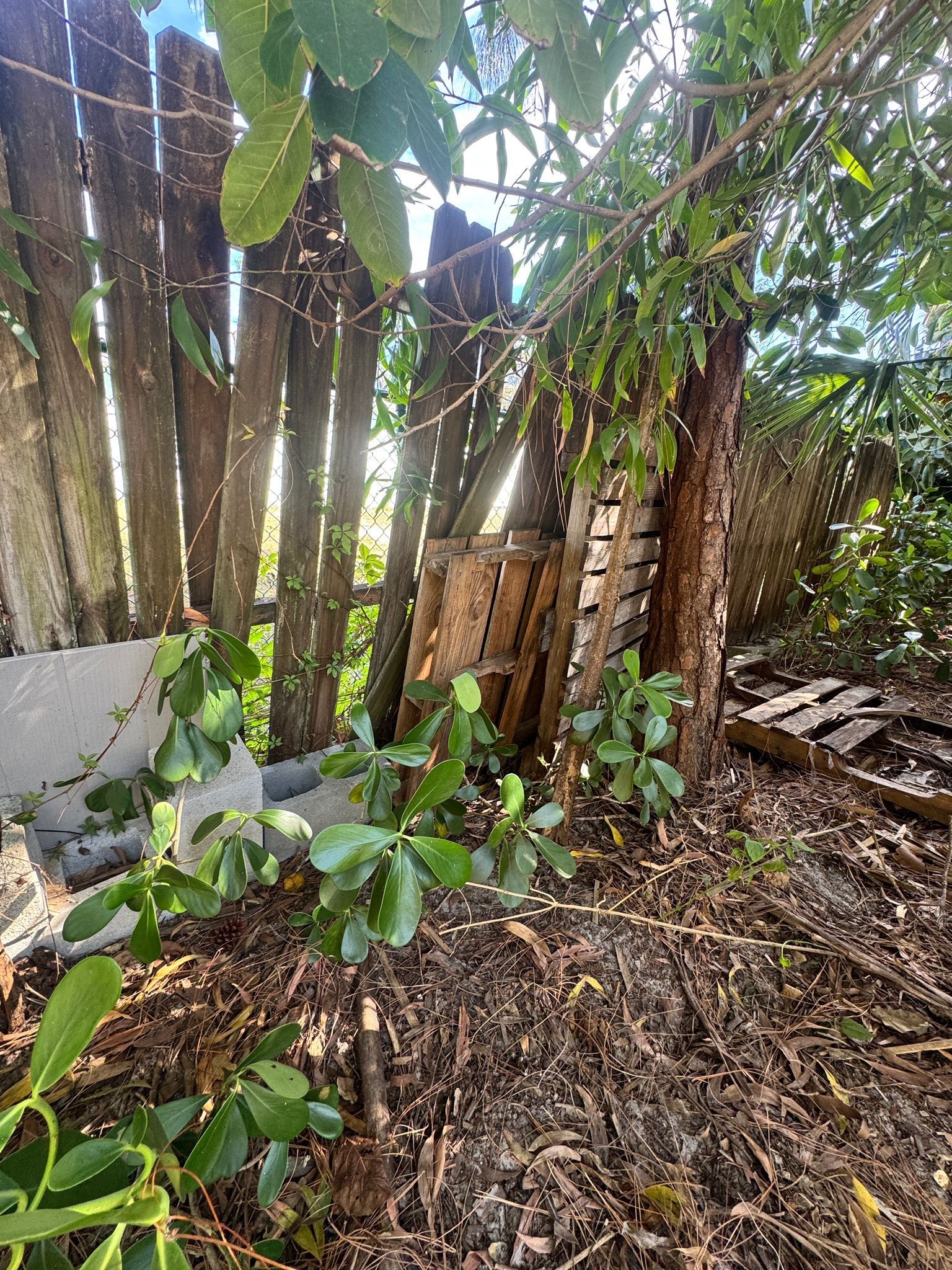 Roof Damage Claim in Naples by FLAPA & KeyStone