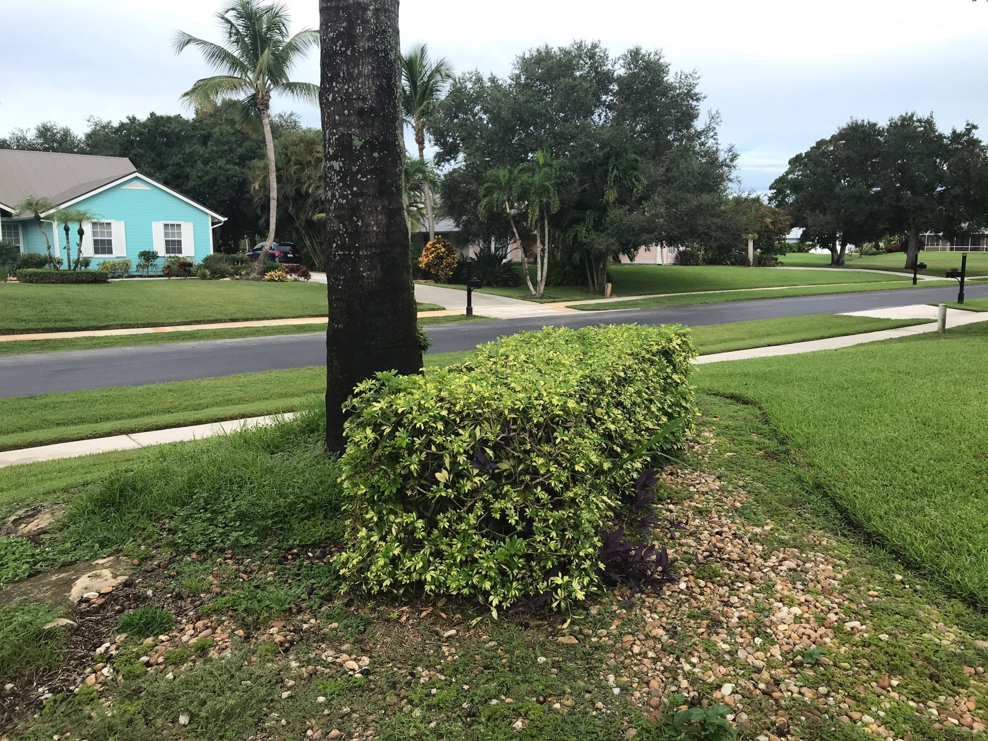 🌴 Landscape Removal and Install in Palm City by Alpha Zeta Enterprises Inc