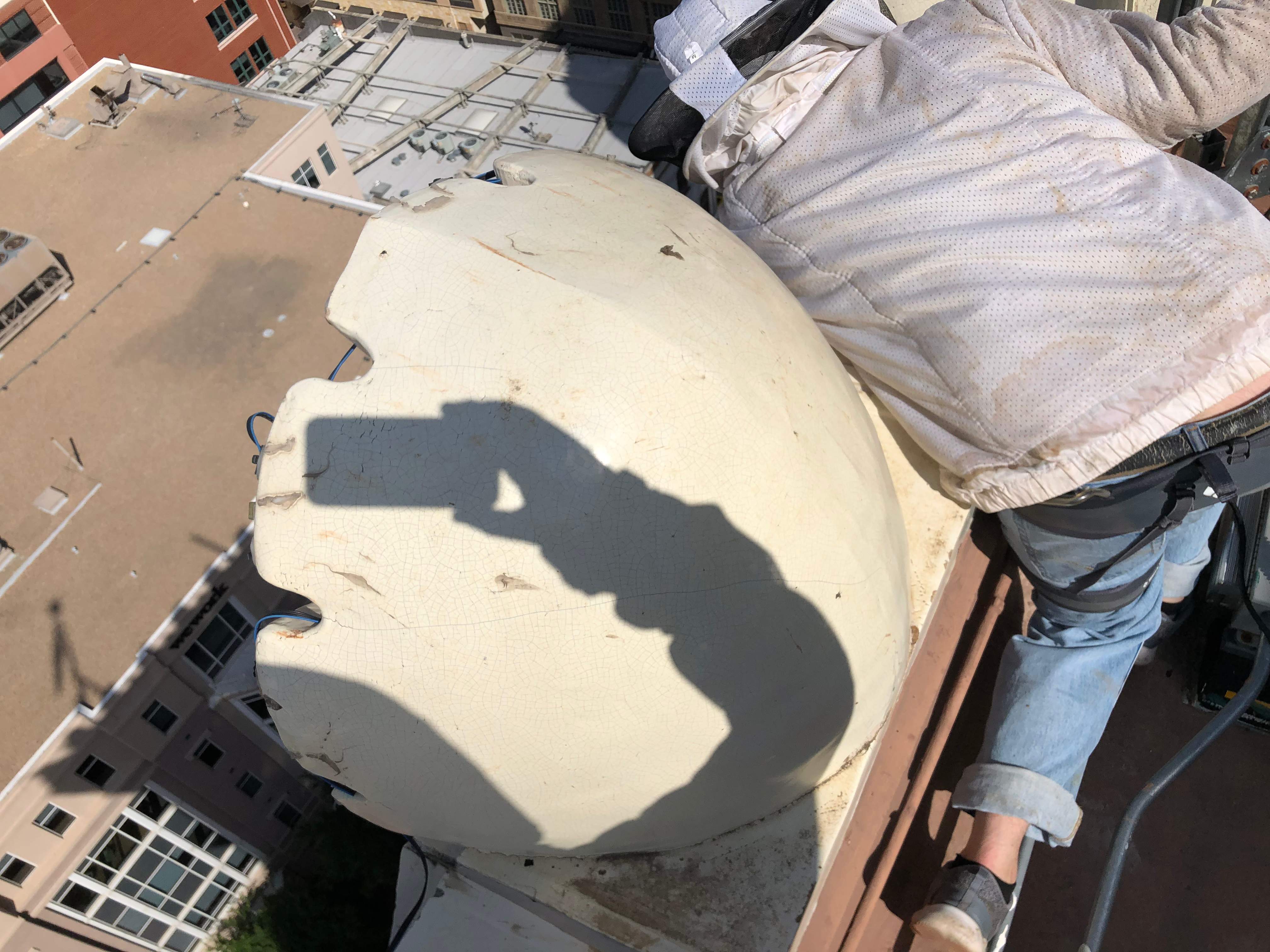 Downtown Highrise by Rockwall Honey Bee Company