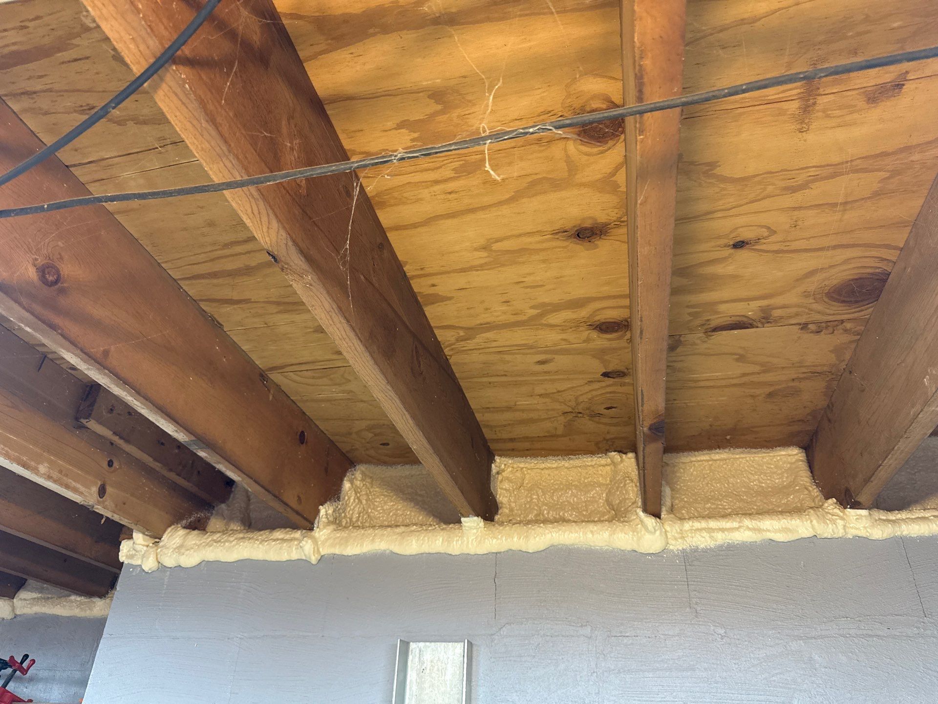 Rodent clean up and sanitation in Pittsburgh, PA 15237 by Home Environment Solutions