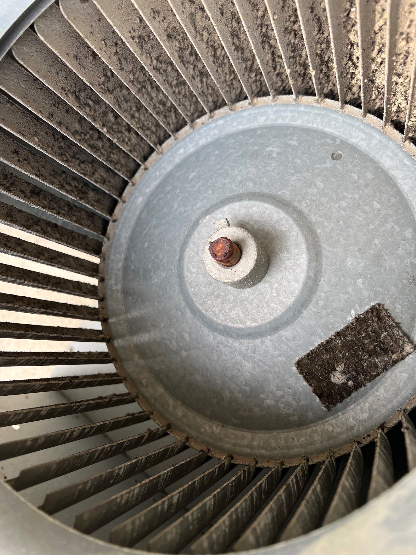 Air Duct Cleaning and Suspect Growth Removal Before and After Video/Photos Removal of mechanical component. by All Seasons Air Duct Cleaning 