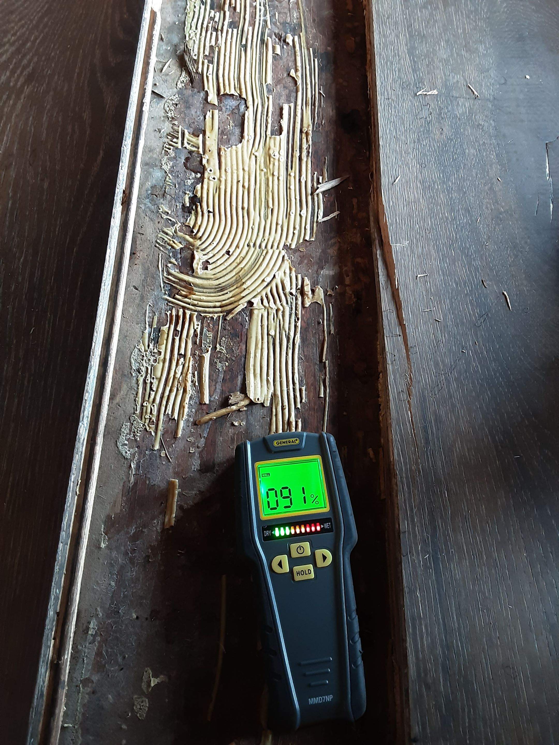 Interior water damage inspection by ASAP Roofing & Restoration