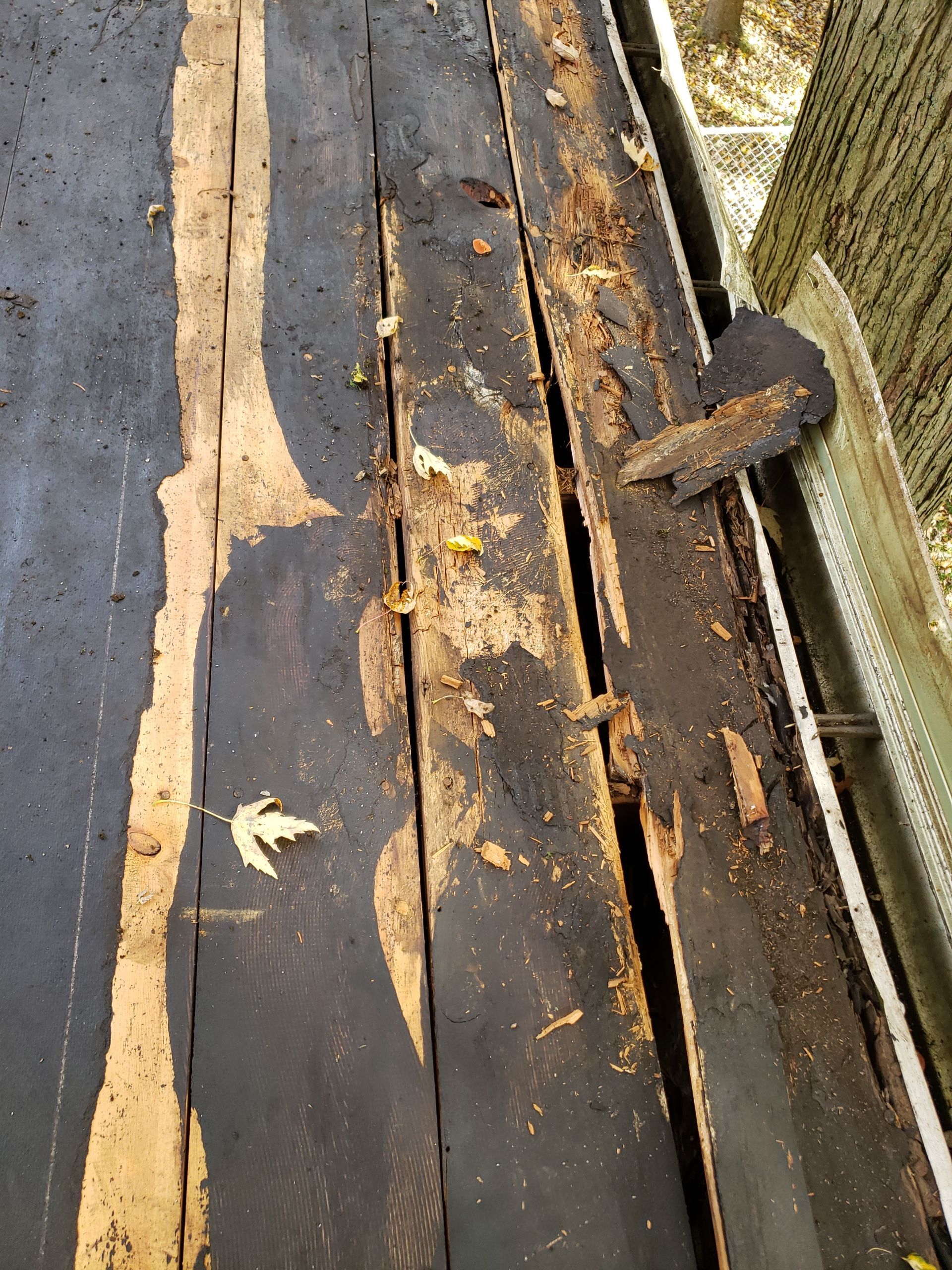 ATLAS PINNACLE COLOR: SCOTCHGARD COASTAL GRANITE DRIP EDGE: WHITE by Eagle Eye Roofing