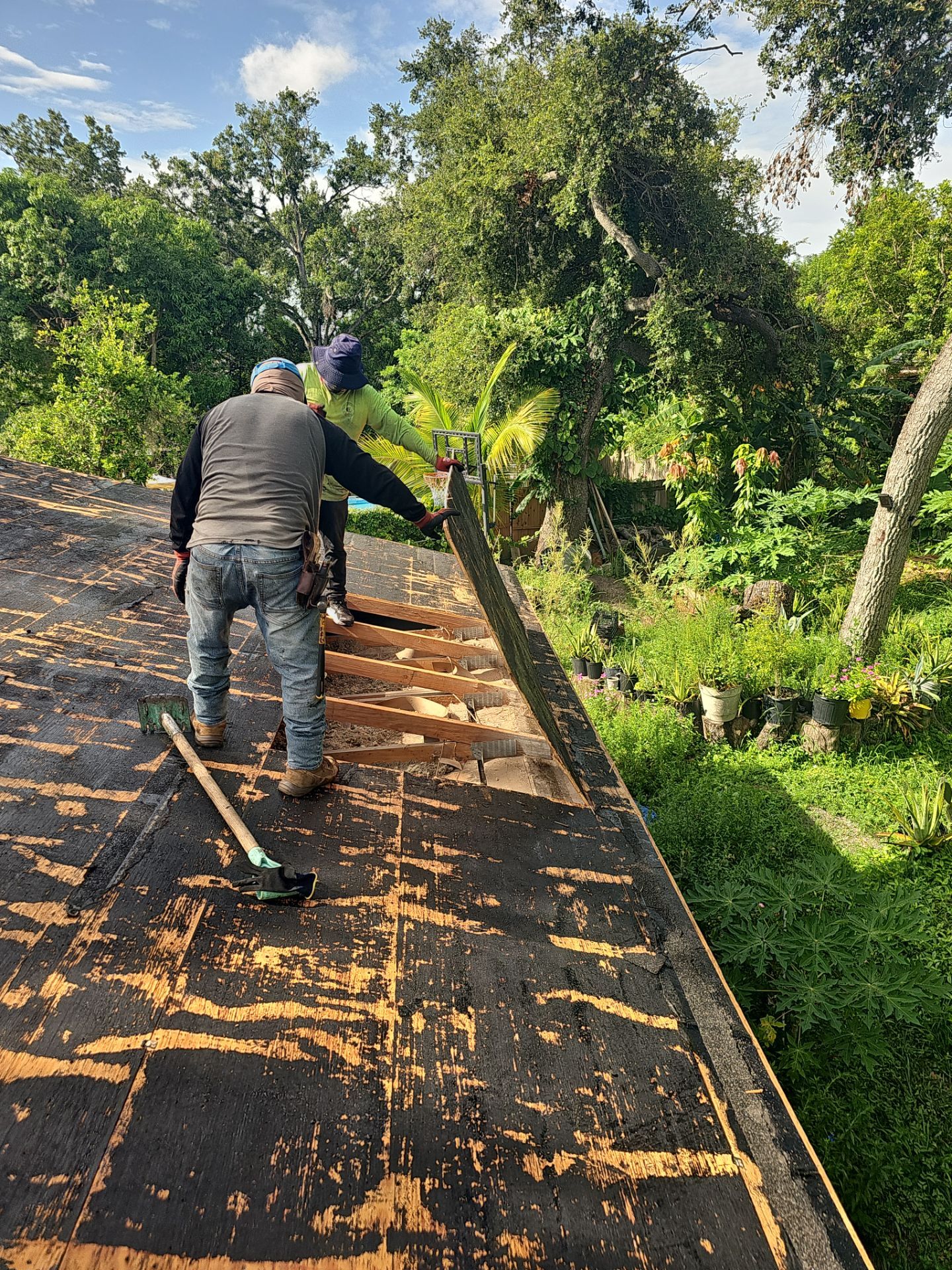 Project in Clearwater 33760 by Mitchell Roofing Company LLC 