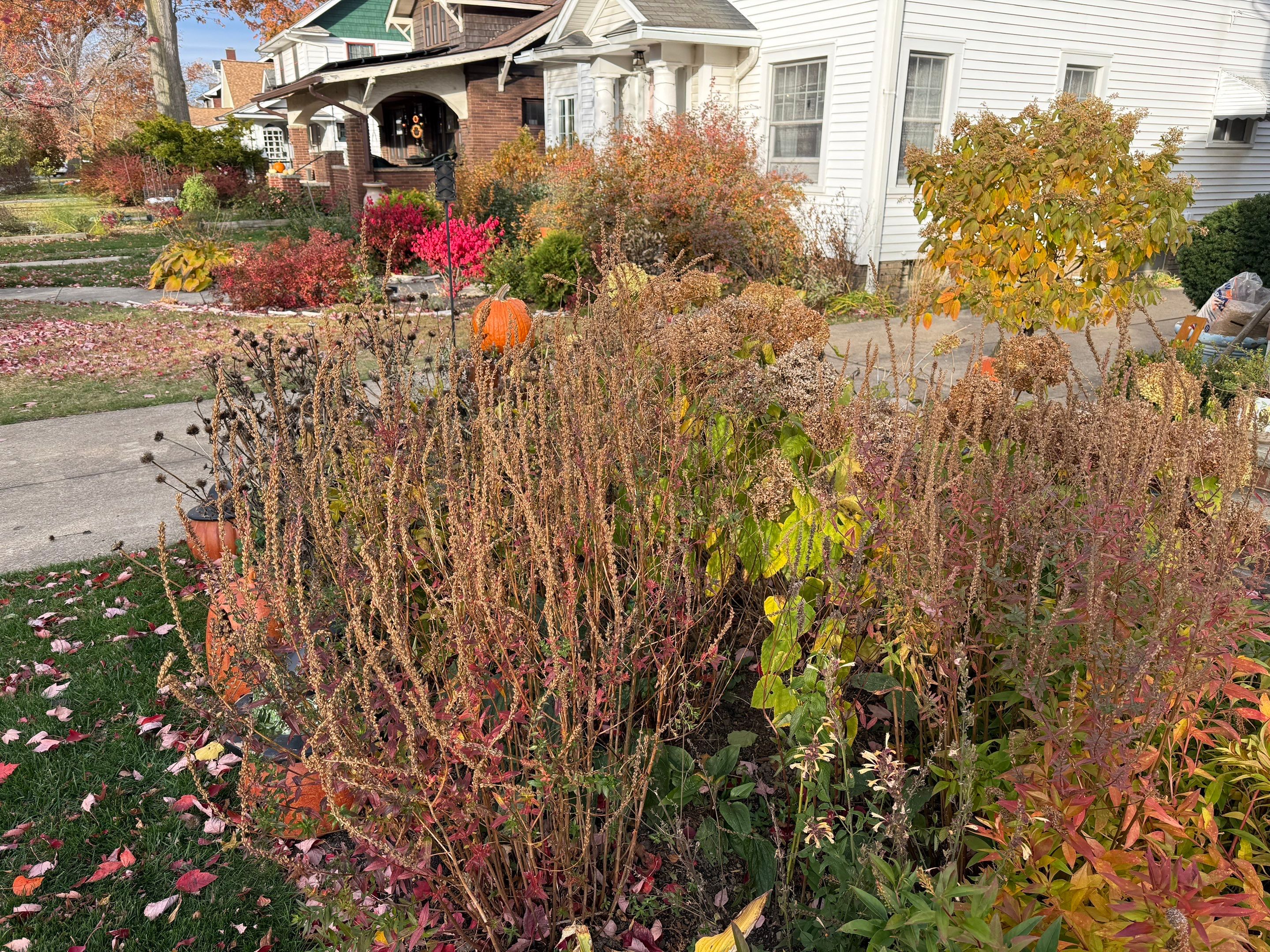 Elm Rose Home Project by Elm Rose Gardens