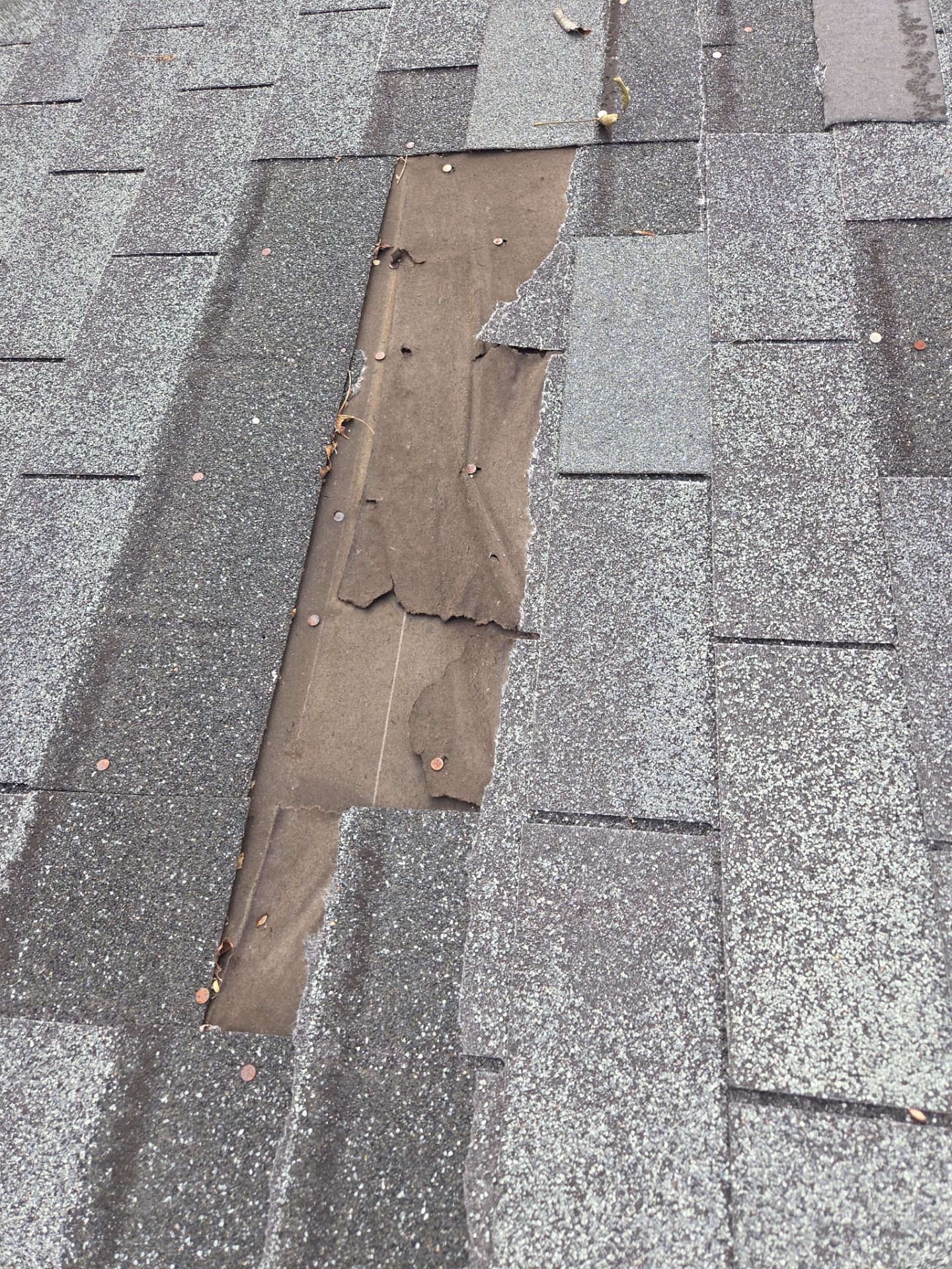 Asphalt Roof Replacement in Warrior by NANOROOF Alabama