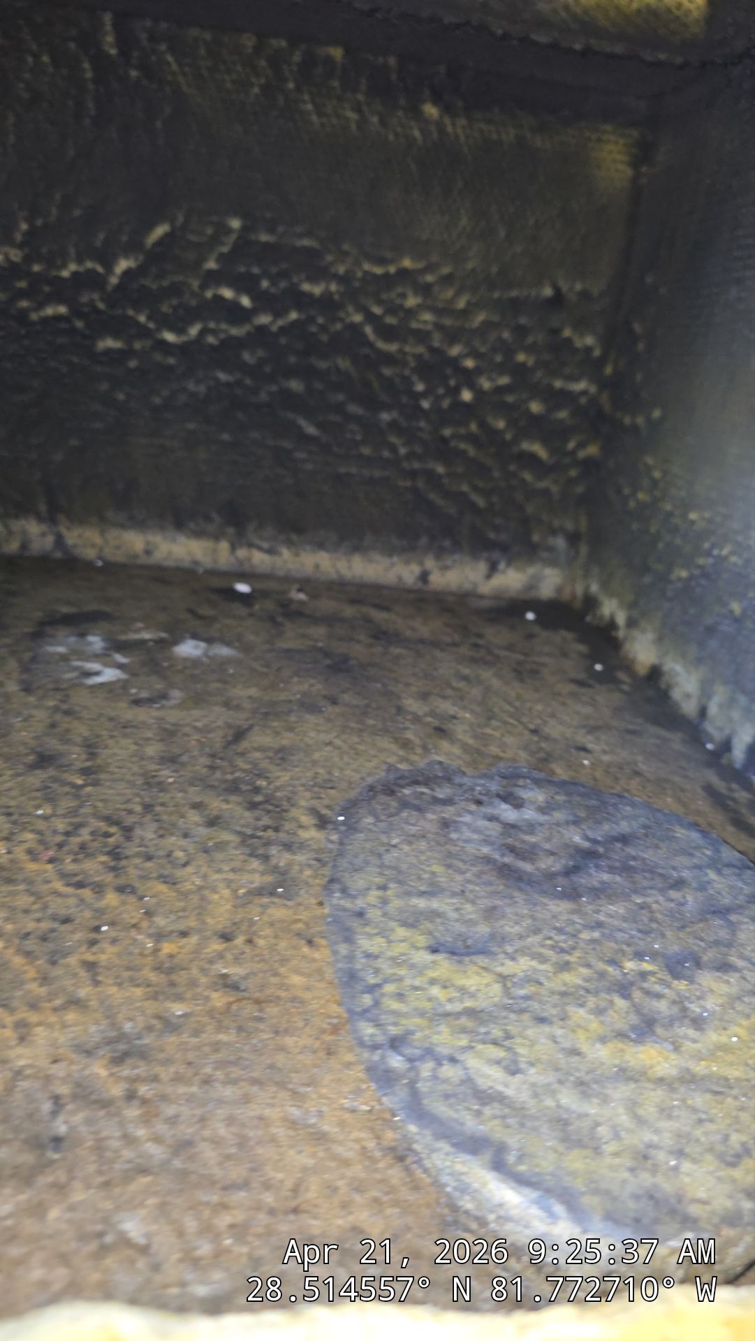AIr Duct Cleaning in Clermont by Hygienic Air, Inc