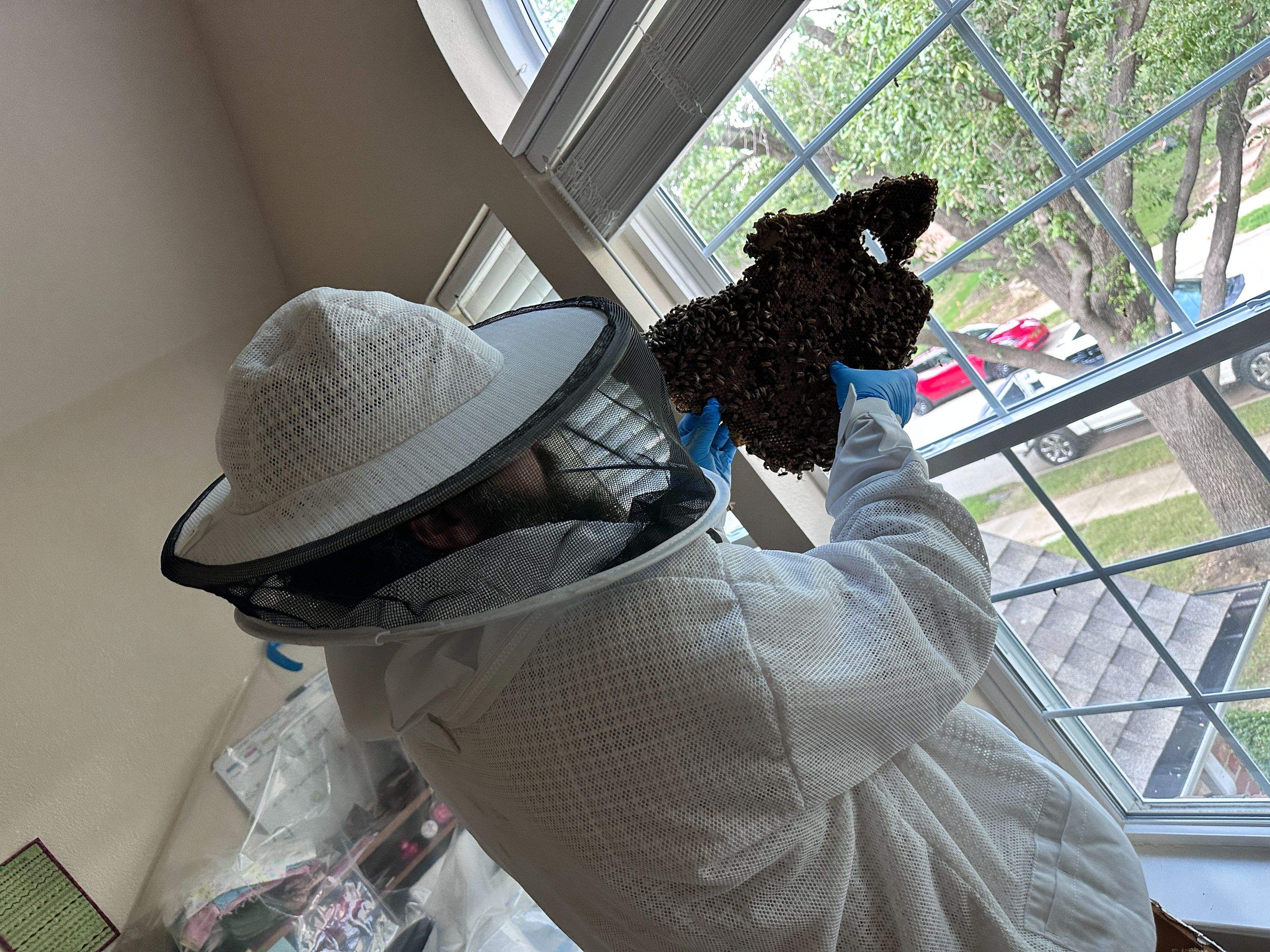 Inside Job by Rockwall Honey Bee Company